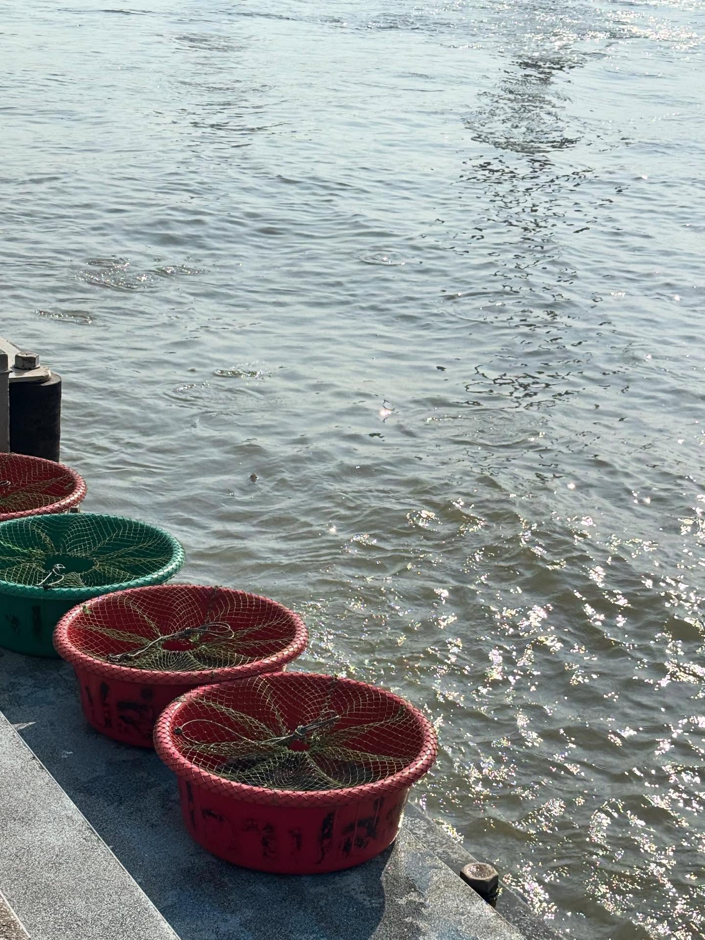 มุก - วรนิษฐ์ ถาวรวงศ์