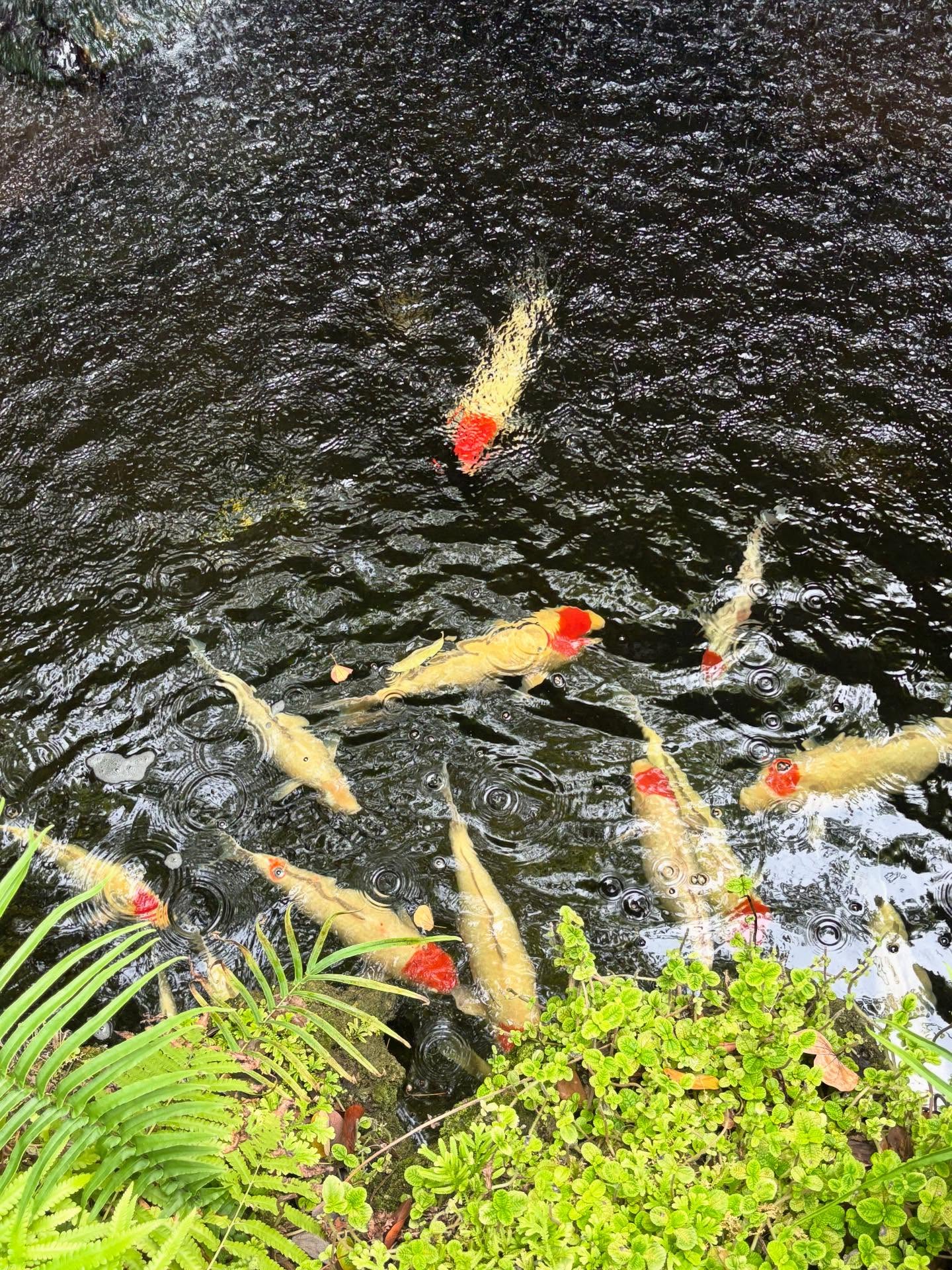 มุก - วรนิษฐ์ ถาวรวงศ์