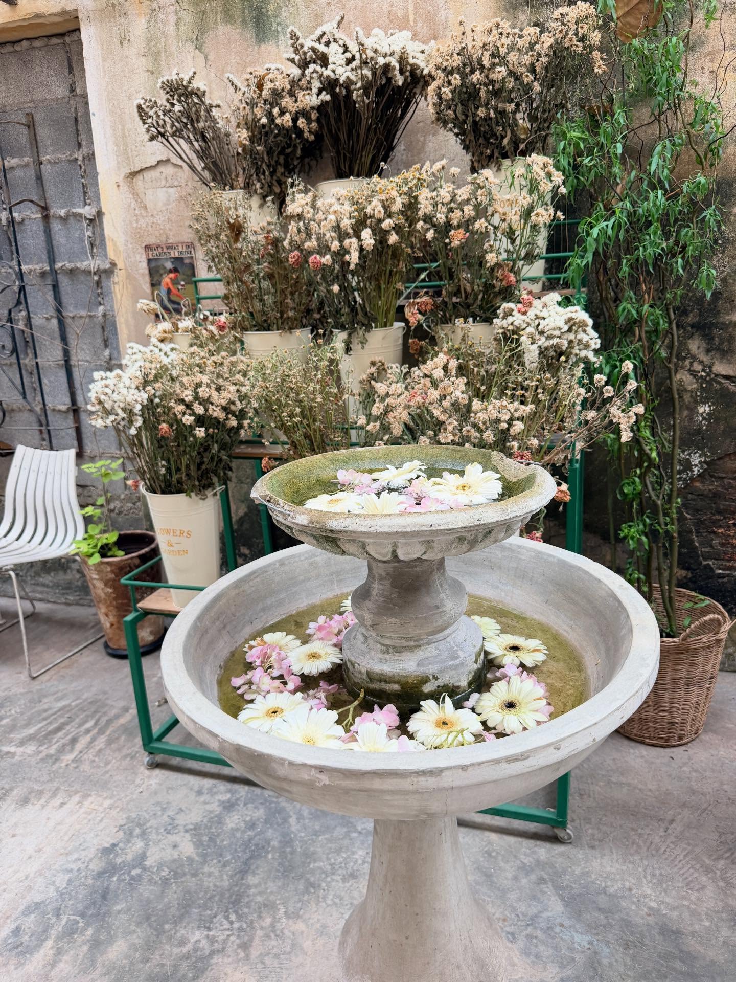 มุก - วรนิษฐ์ ถาวรวงศ์