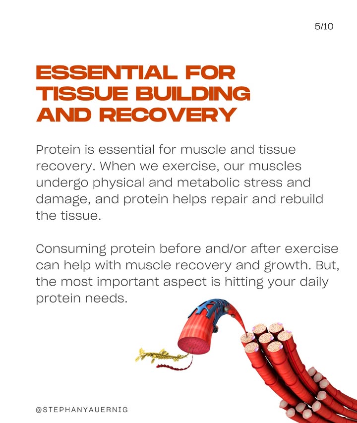 เซฟ - เซฟฟานี่ อาวะนิค