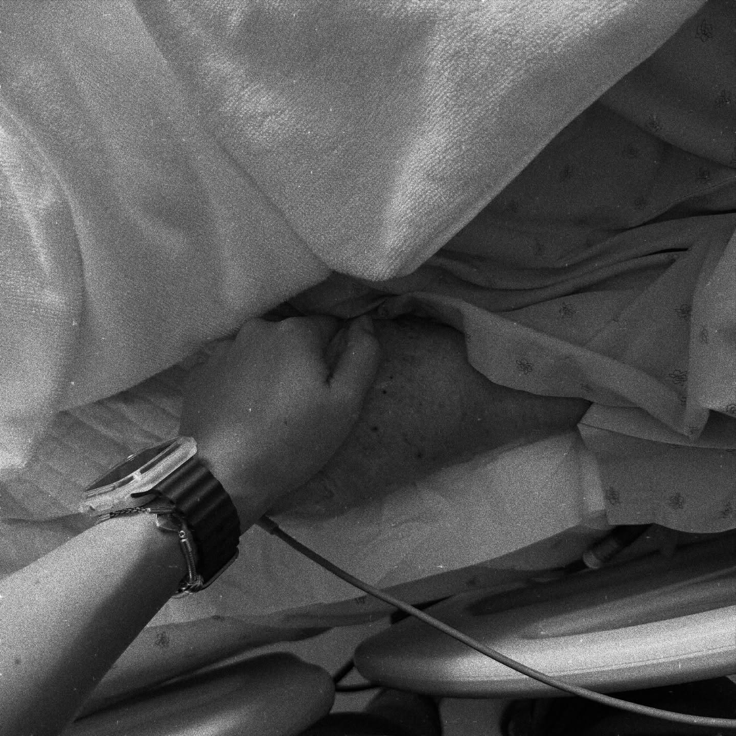 เซฟ - เซฟฟานี่ อาวะนิค