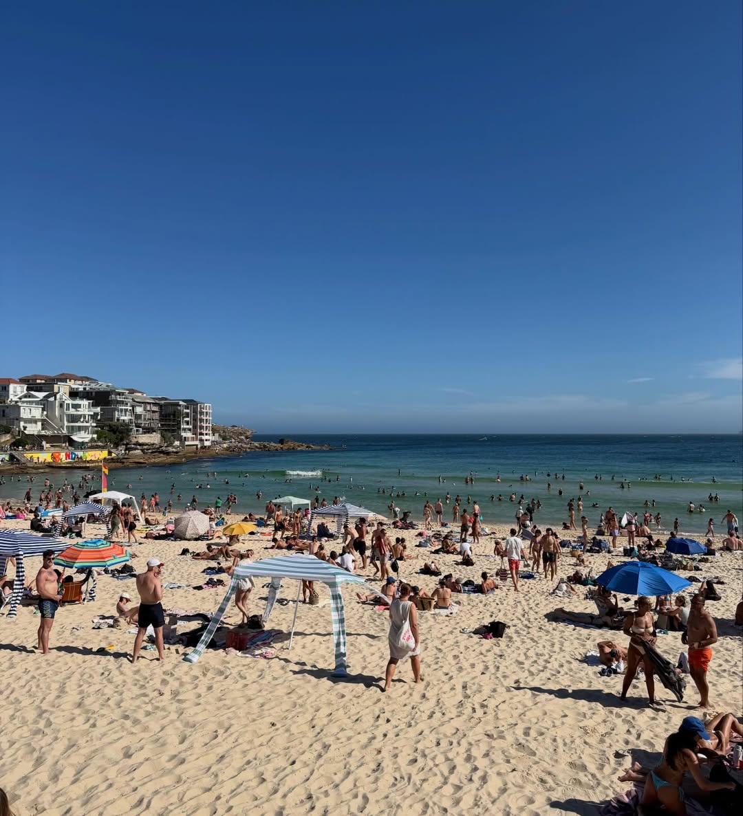 โอม - ภวัต จิตต์สว่างดี