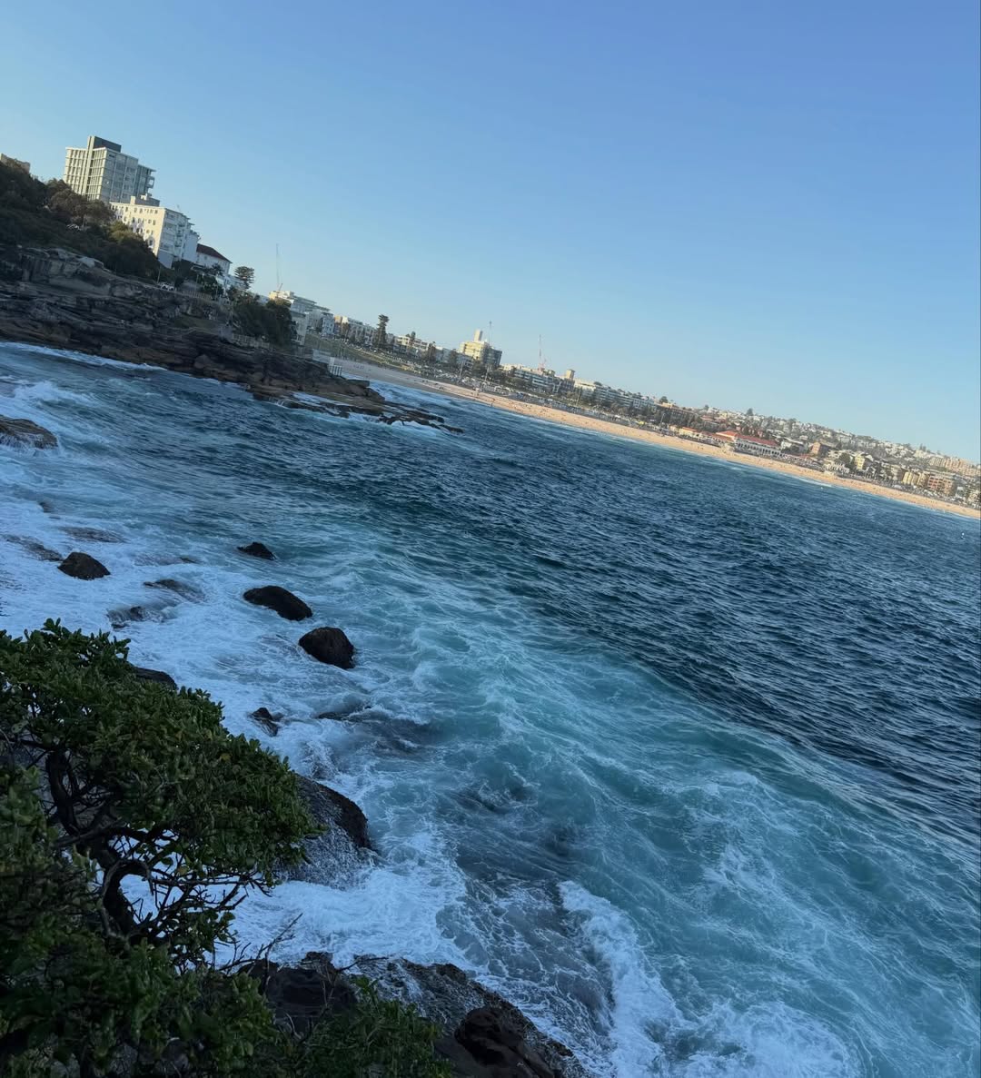 โอม - ภวัต จิตต์สว่างดี