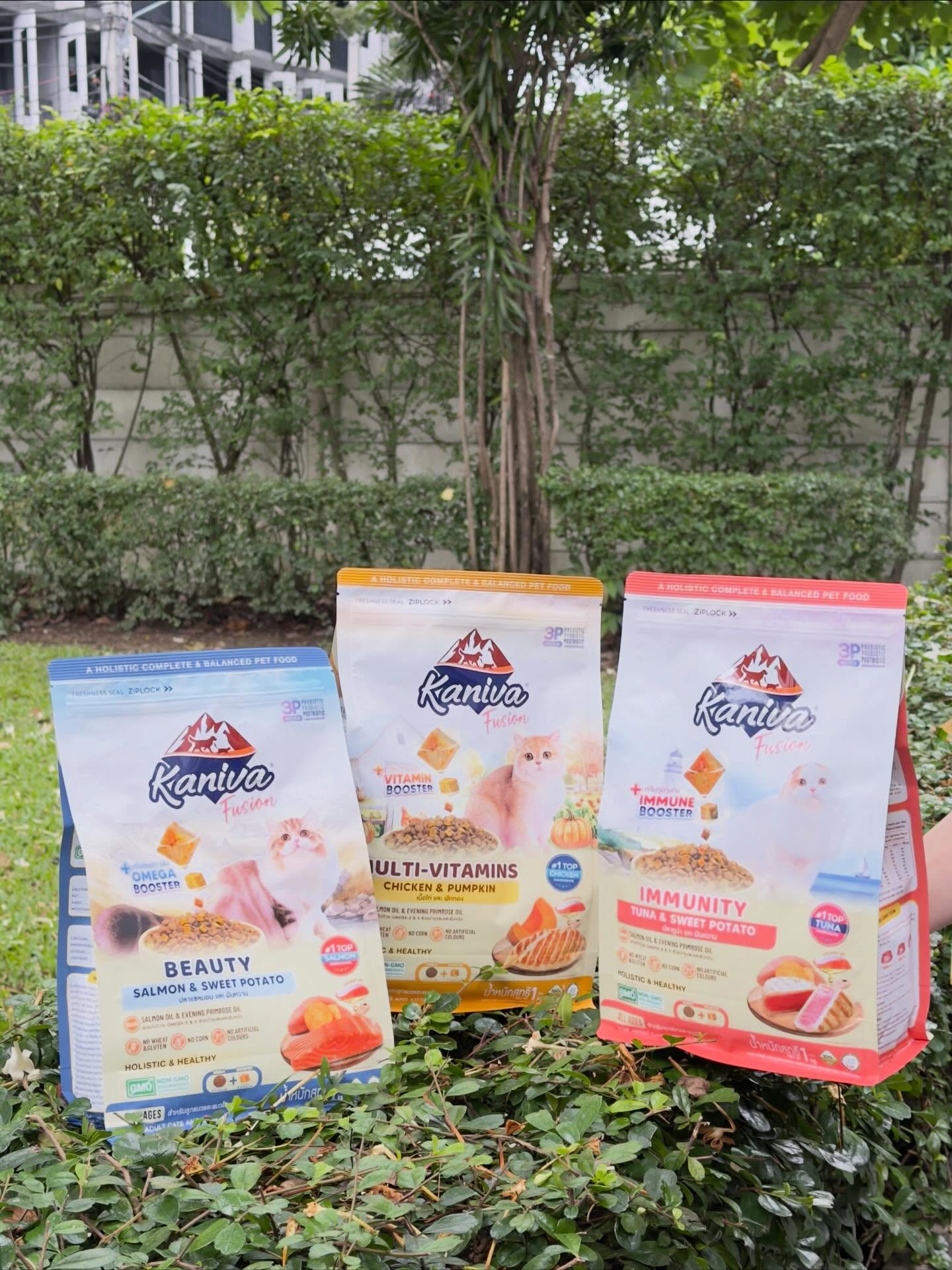 เอเอ - อชิรกรณ์ สุวิทยะเสถียร