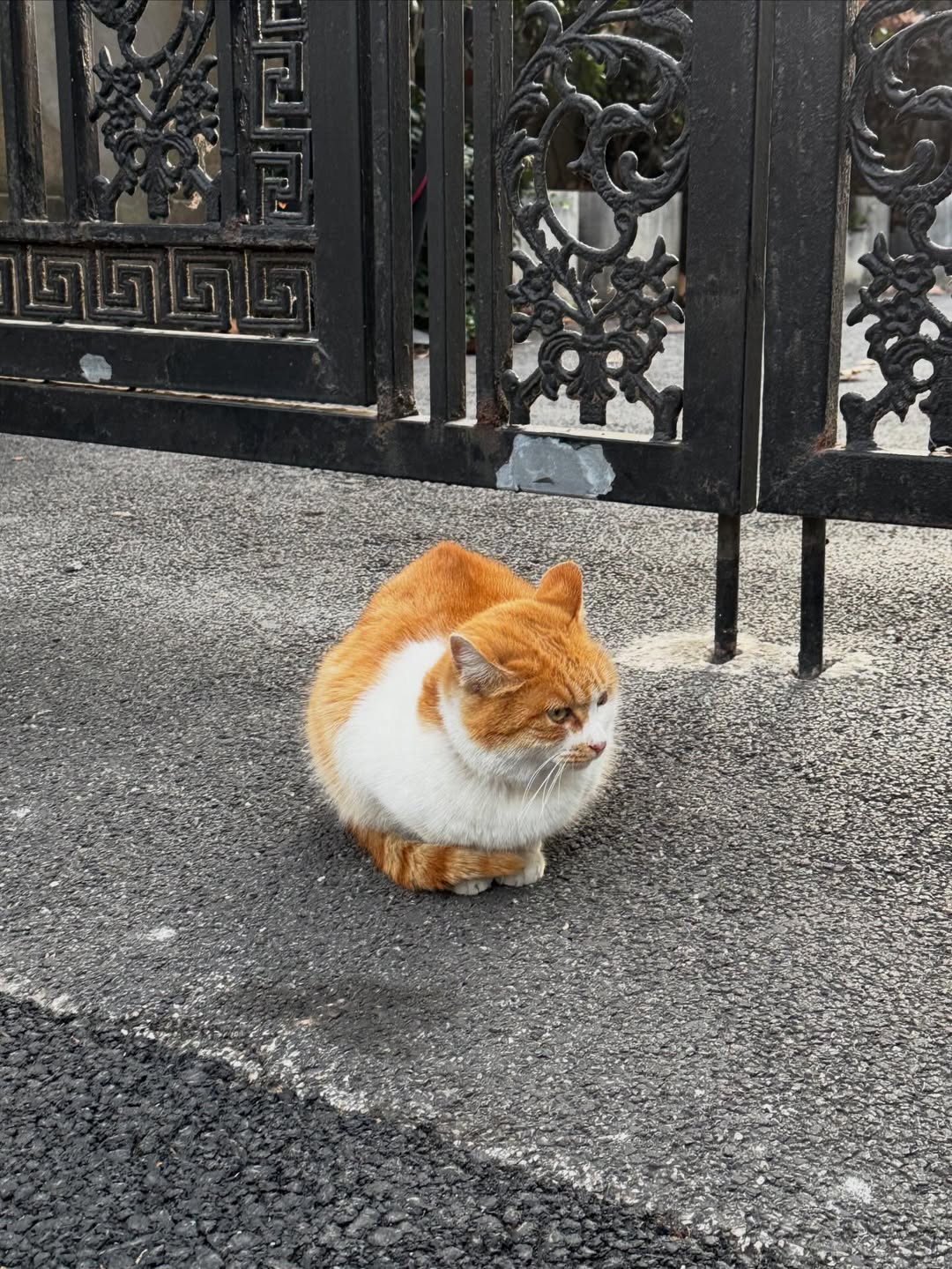 เอเอ - อชิรกรณ์ สุวิทยะเสถียร