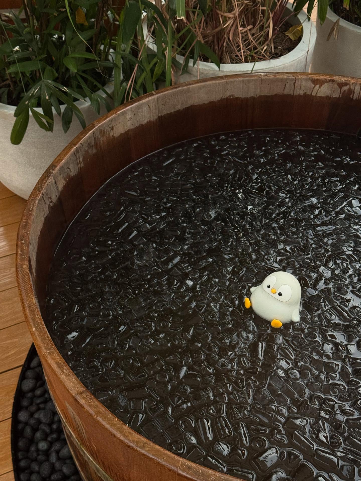 ภีม - วสุพล พรพนานุรักษ์