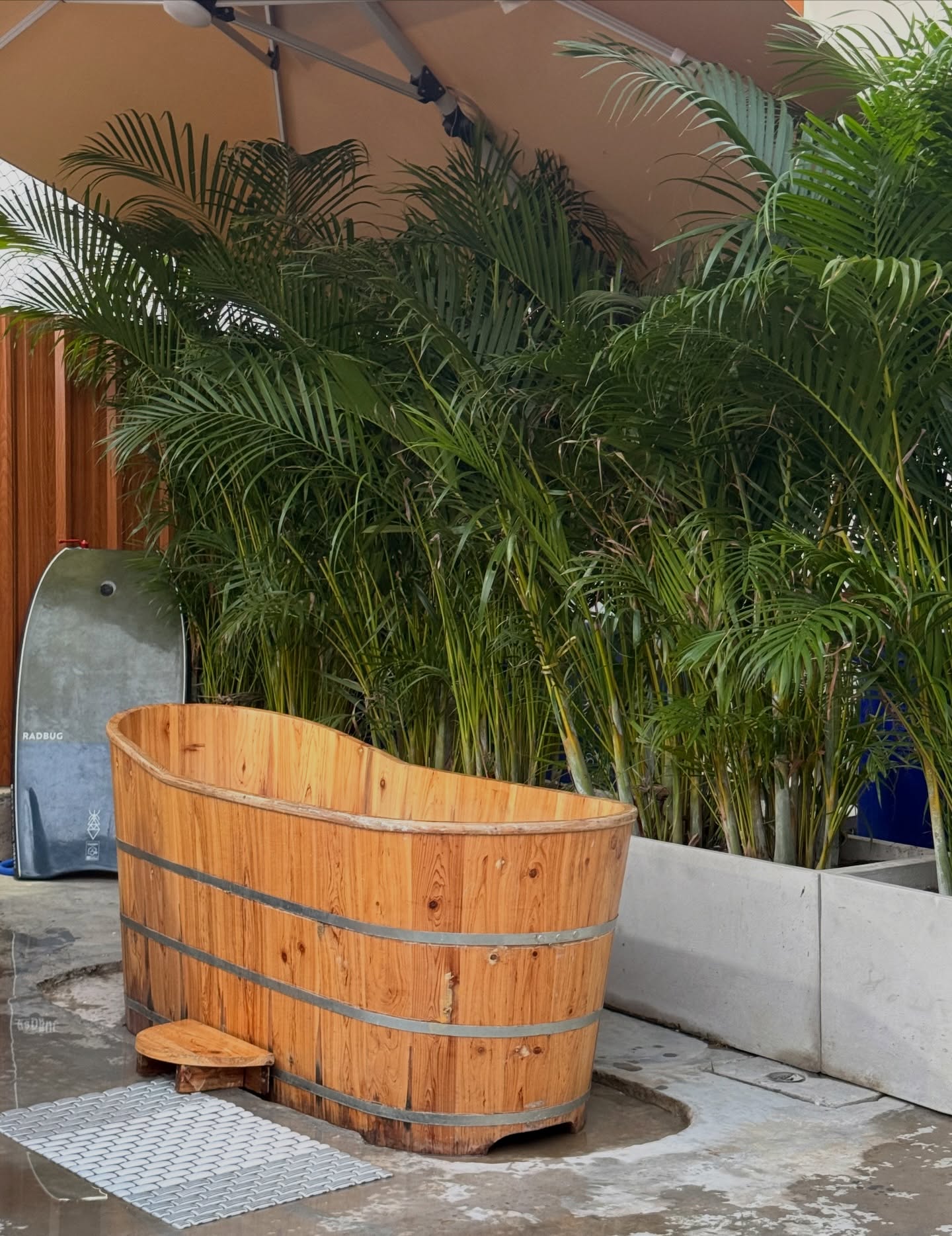 แบม - สราลี ประสิทธิ์ดำรง