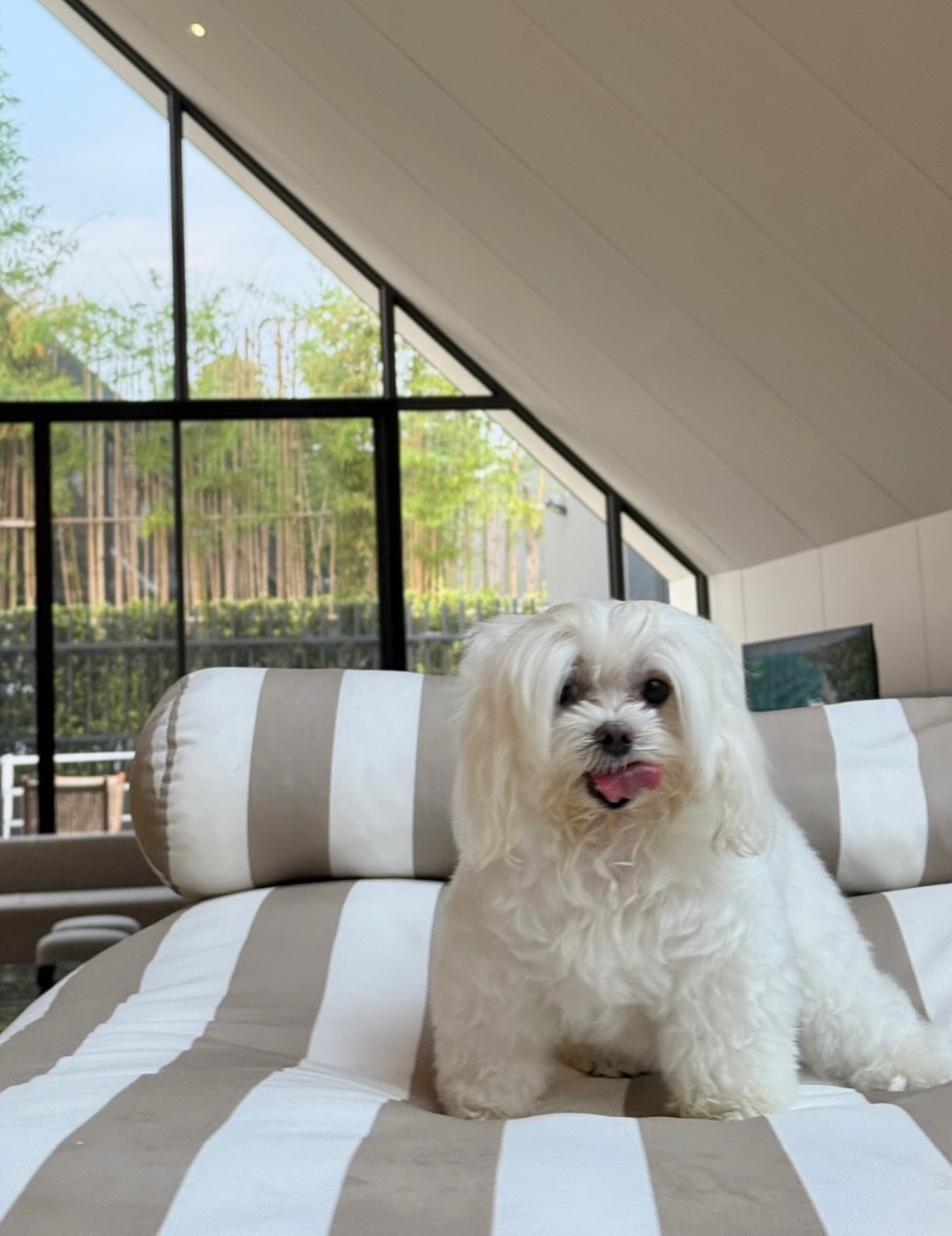 แบม - สราลี ประสิทธิ์ดำรง