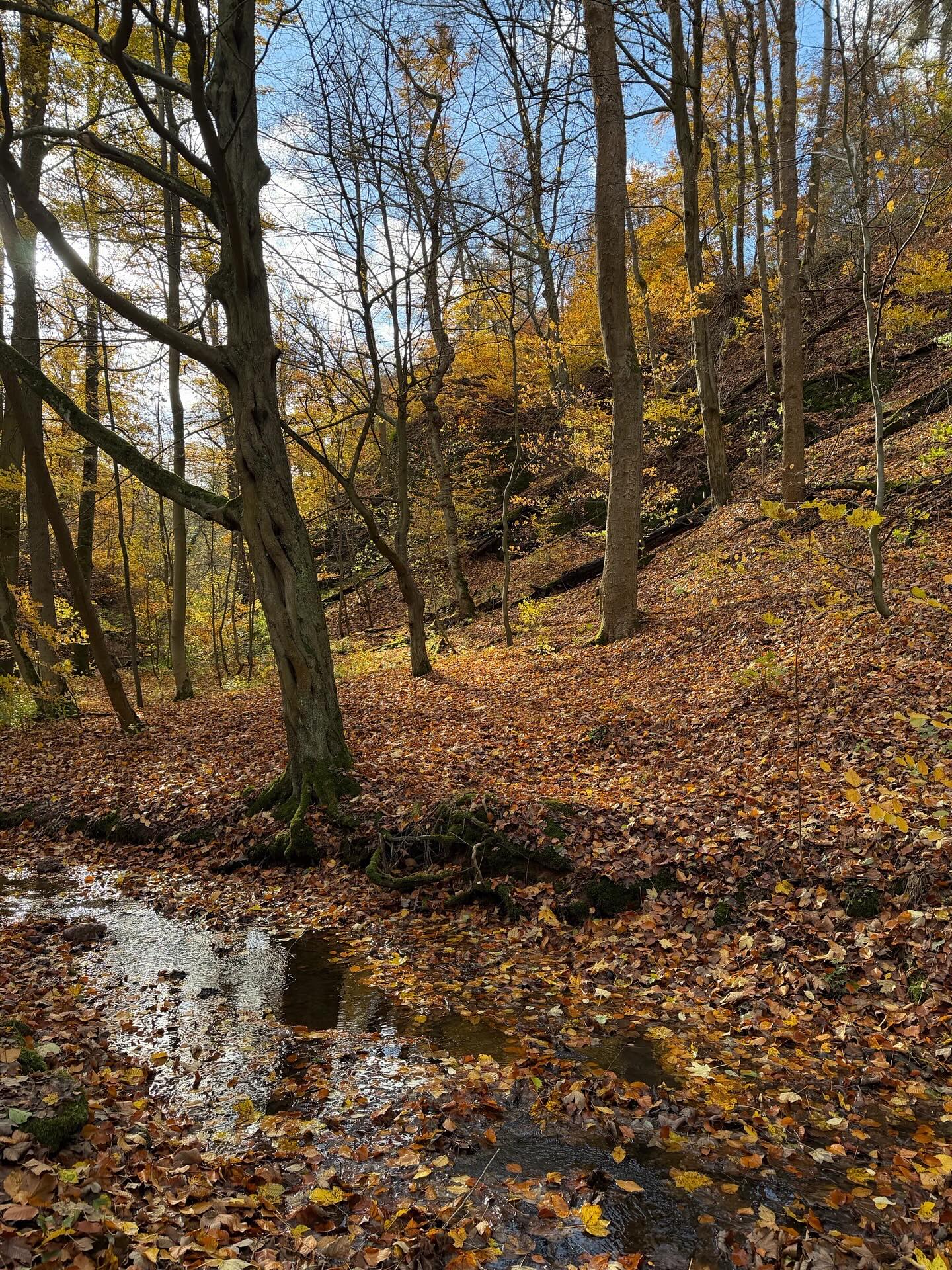 ภัทร์ ฉัตรบริรักษ์