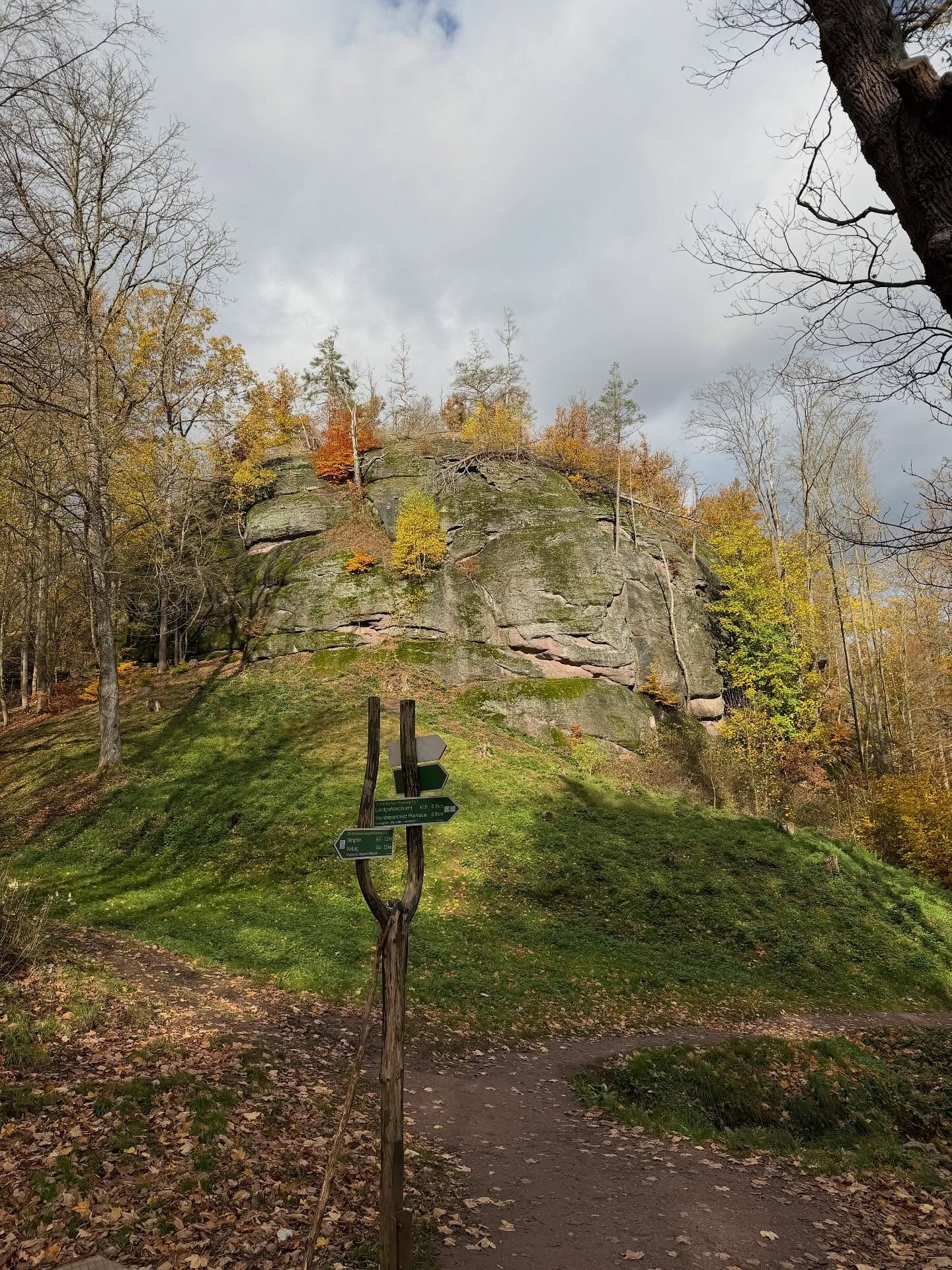 ภัทร์ ฉัตรบริรักษ์