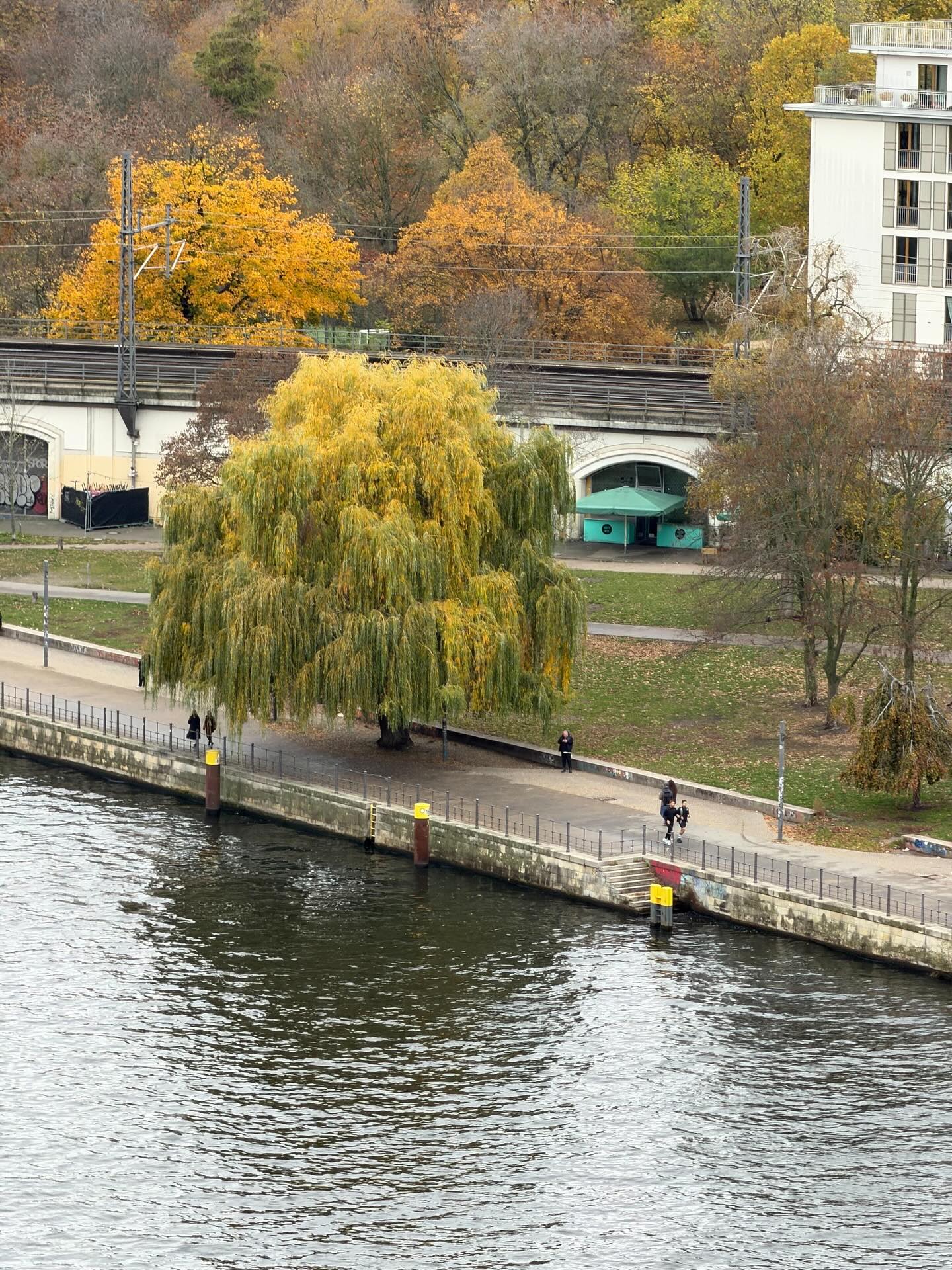 ภัทร์ ฉัตรบริรักษ์