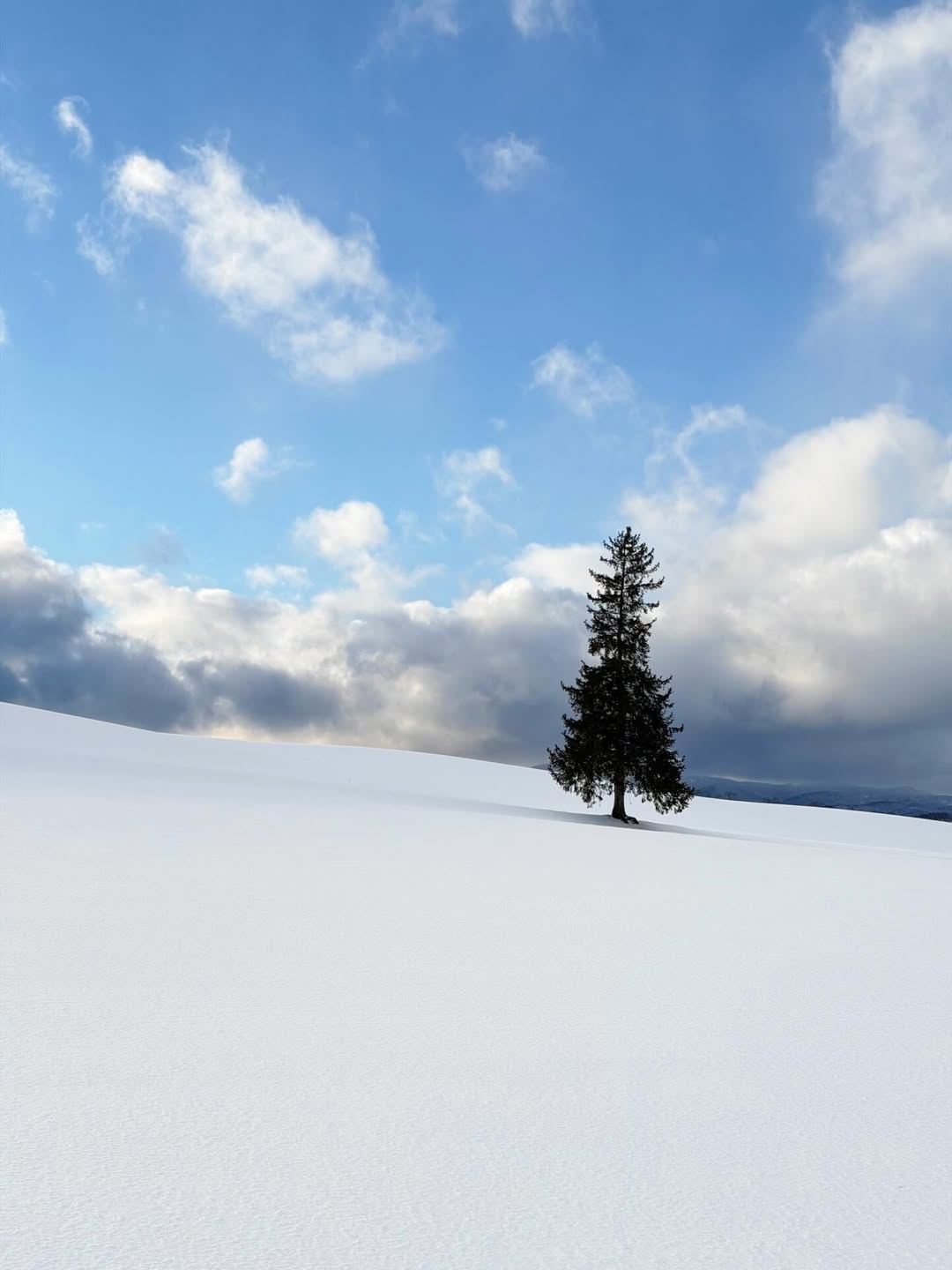 ภัทร์ ฉัตรบริรักษ์