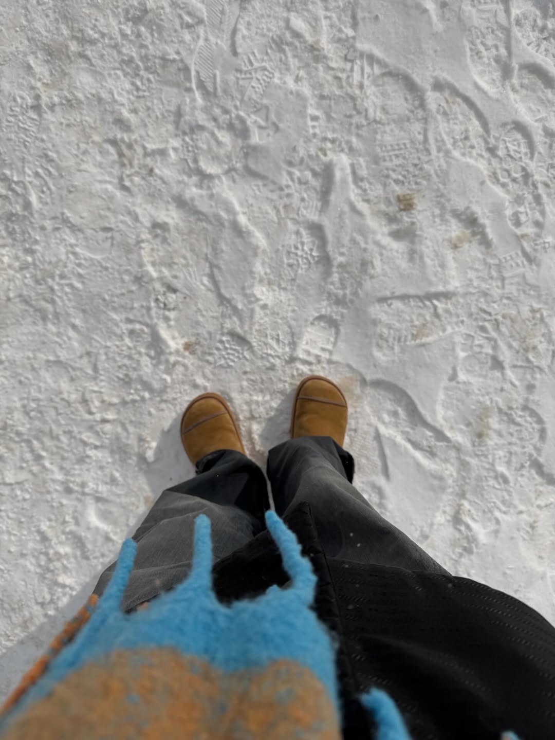 ภัทร์ ฉัตรบริรักษ์