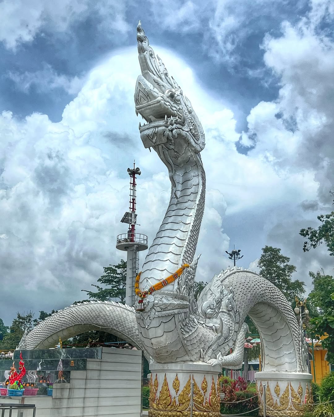 เอมี่ กลิ่นประทุม