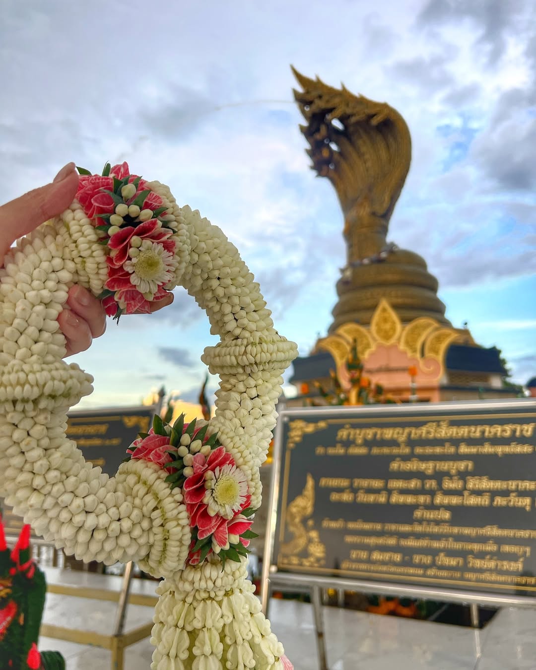 เอมี่ กลิ่นประทุม