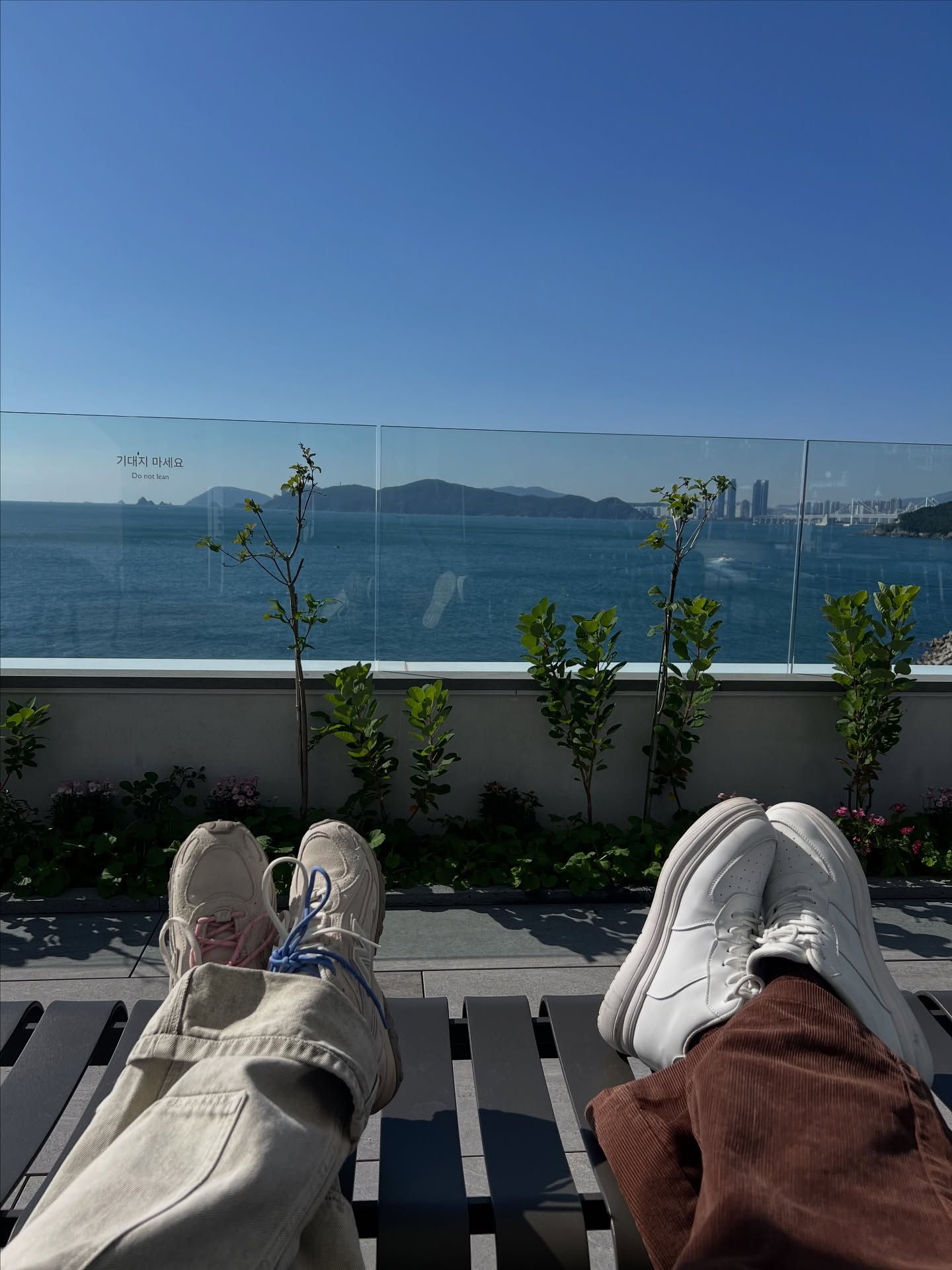 เอมี่ กลิ่นประทุม