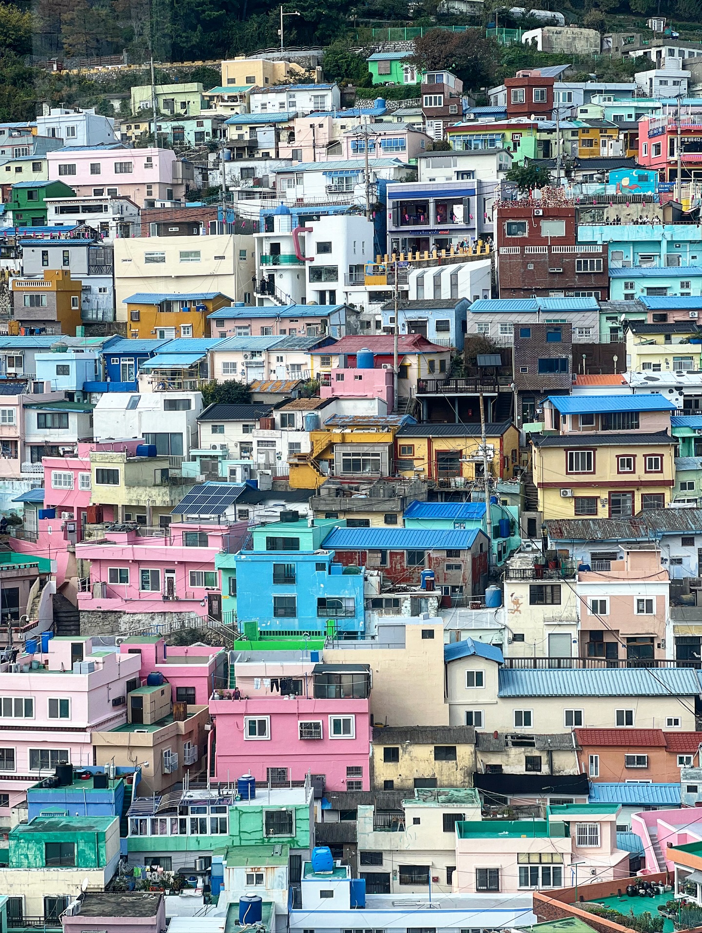 เอมี่ กลิ่นประทุม