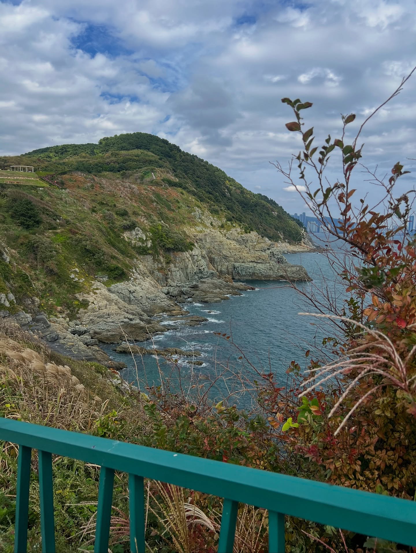 เอมี่ กลิ่นประทุม