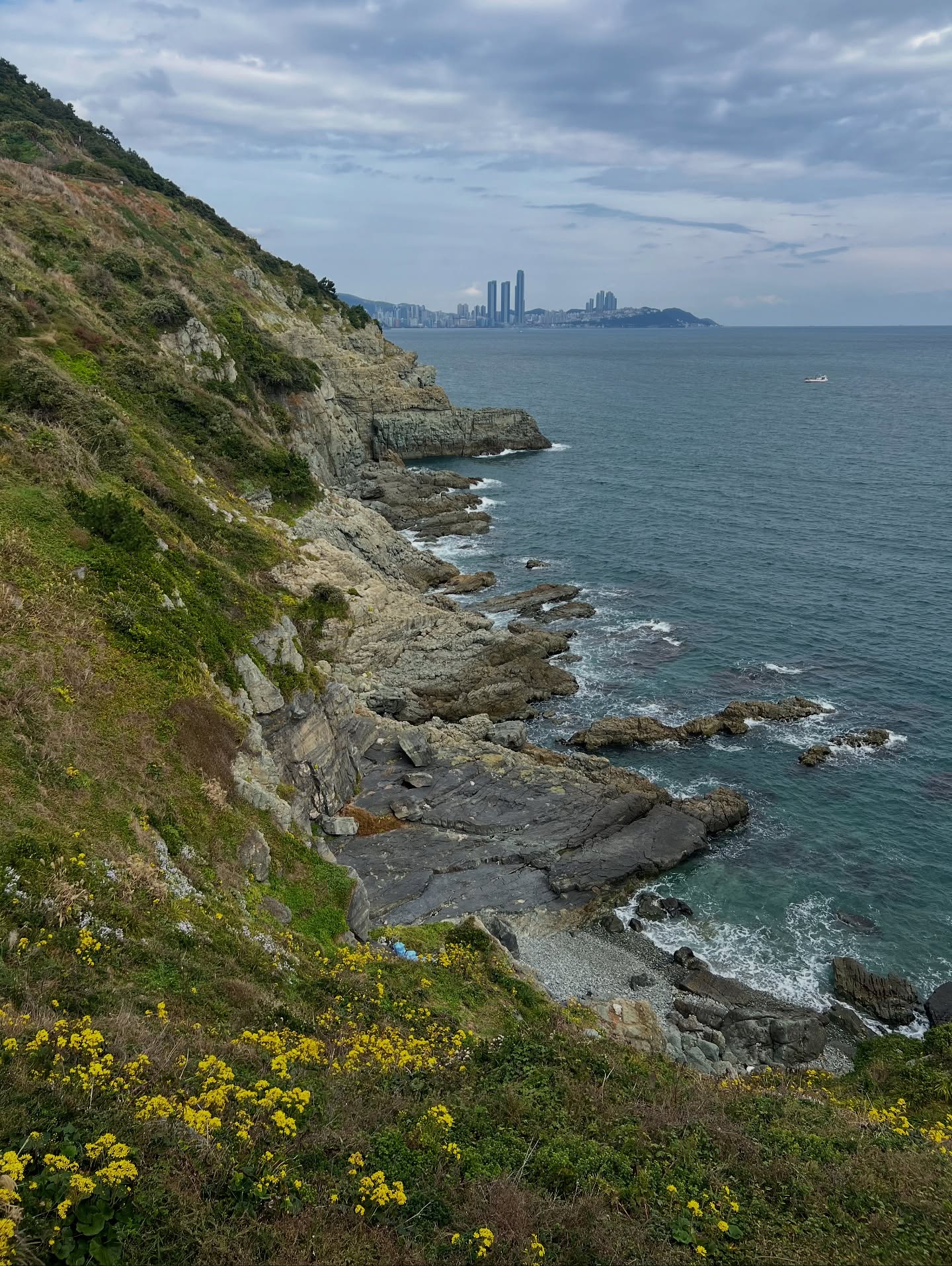 เอมี่ กลิ่นประทุม