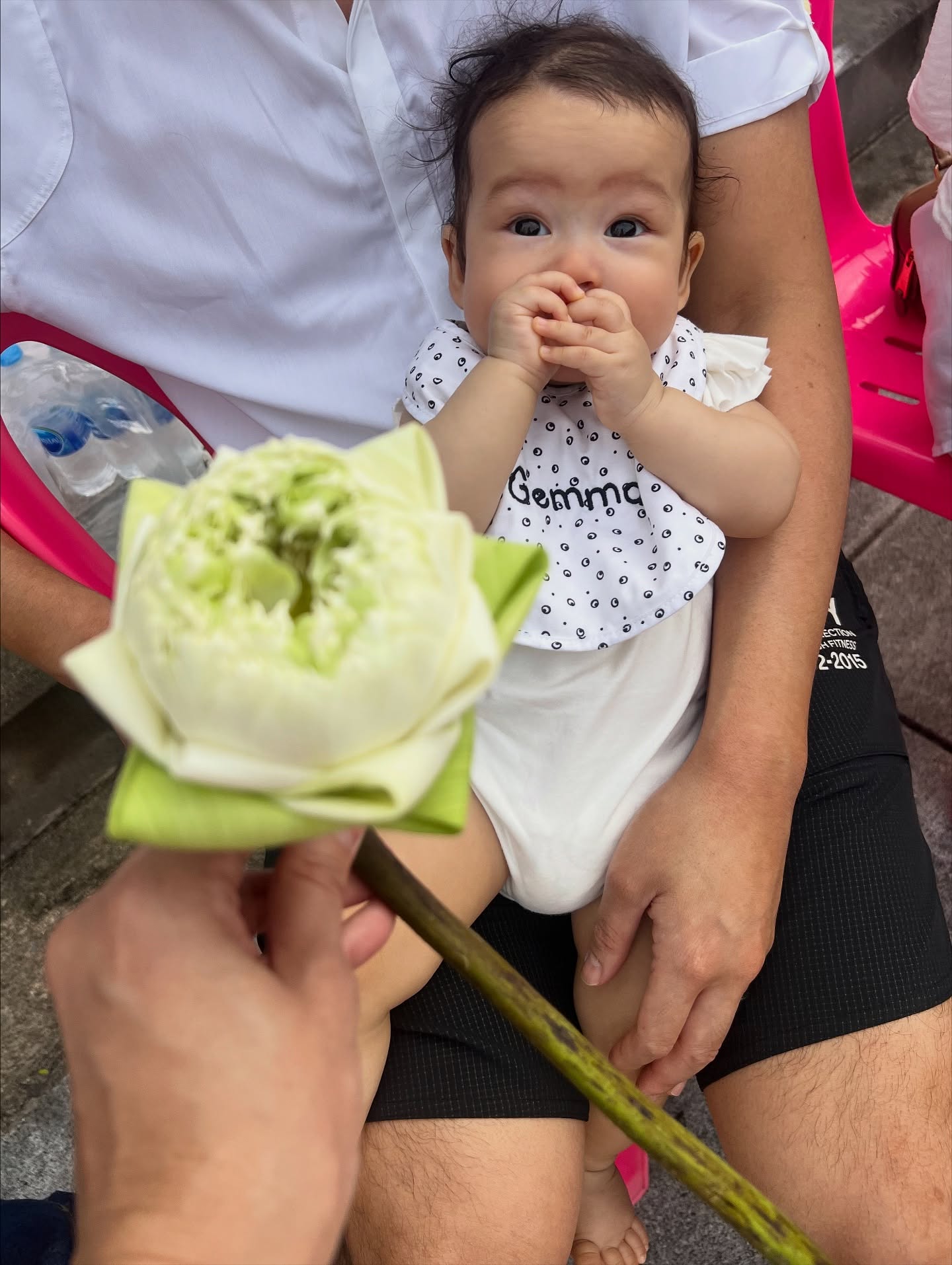 เอมี่ กลิ่นประทุม