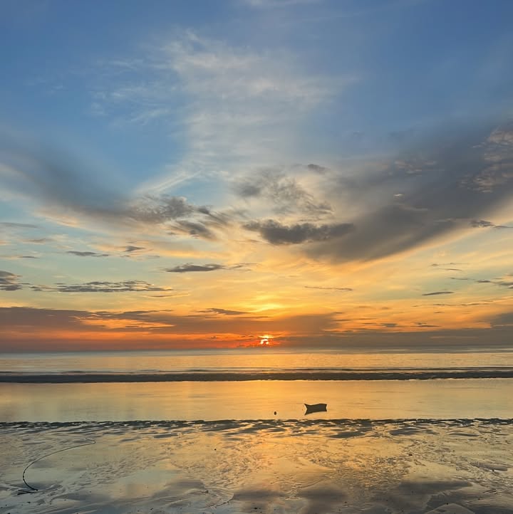 เอมี่ กลิ่นประทุม