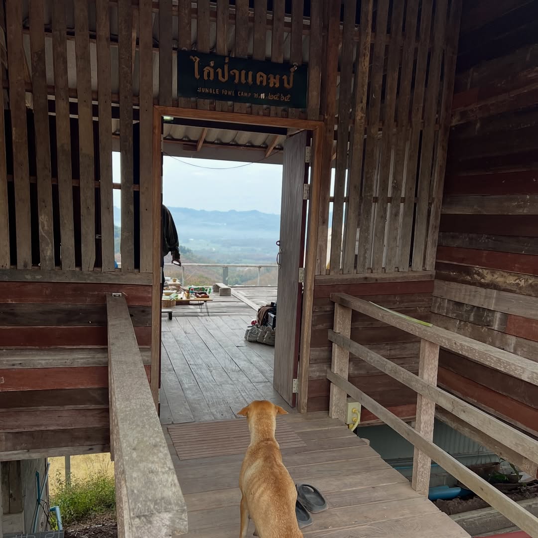 เอมี่ กลิ่นประทุม