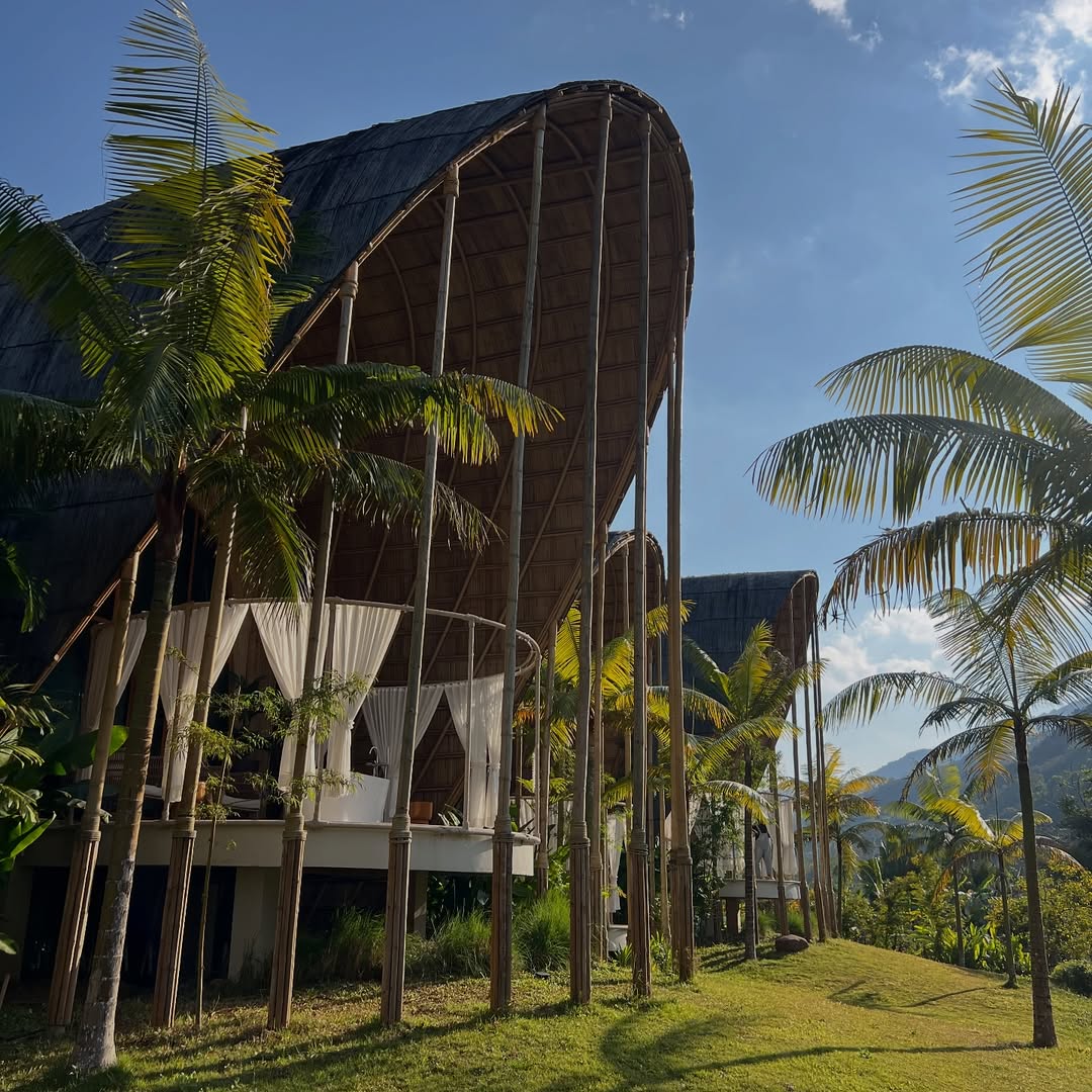 เอมี่ กลิ่นประทุม