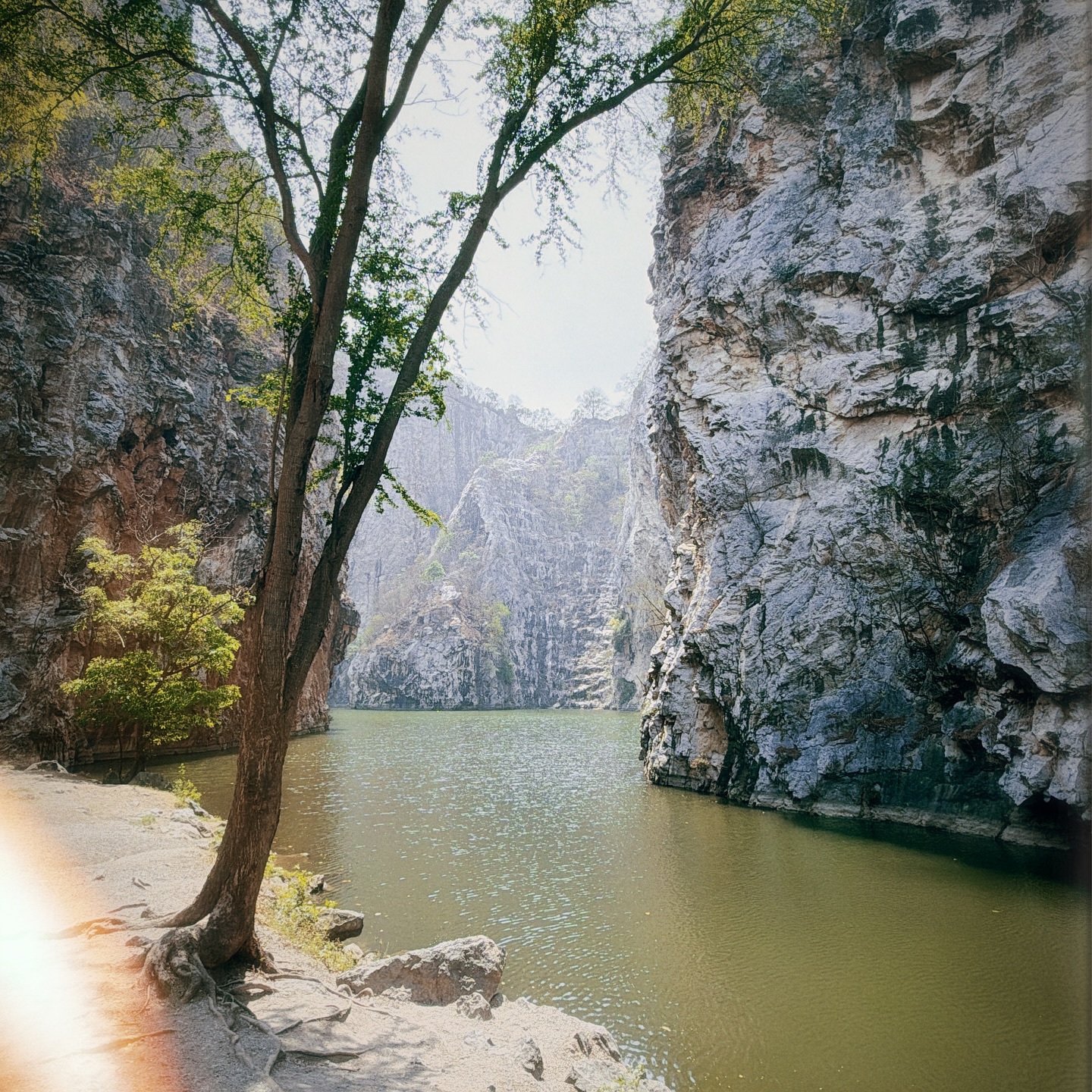 เอมี่ กลิ่นประทุม