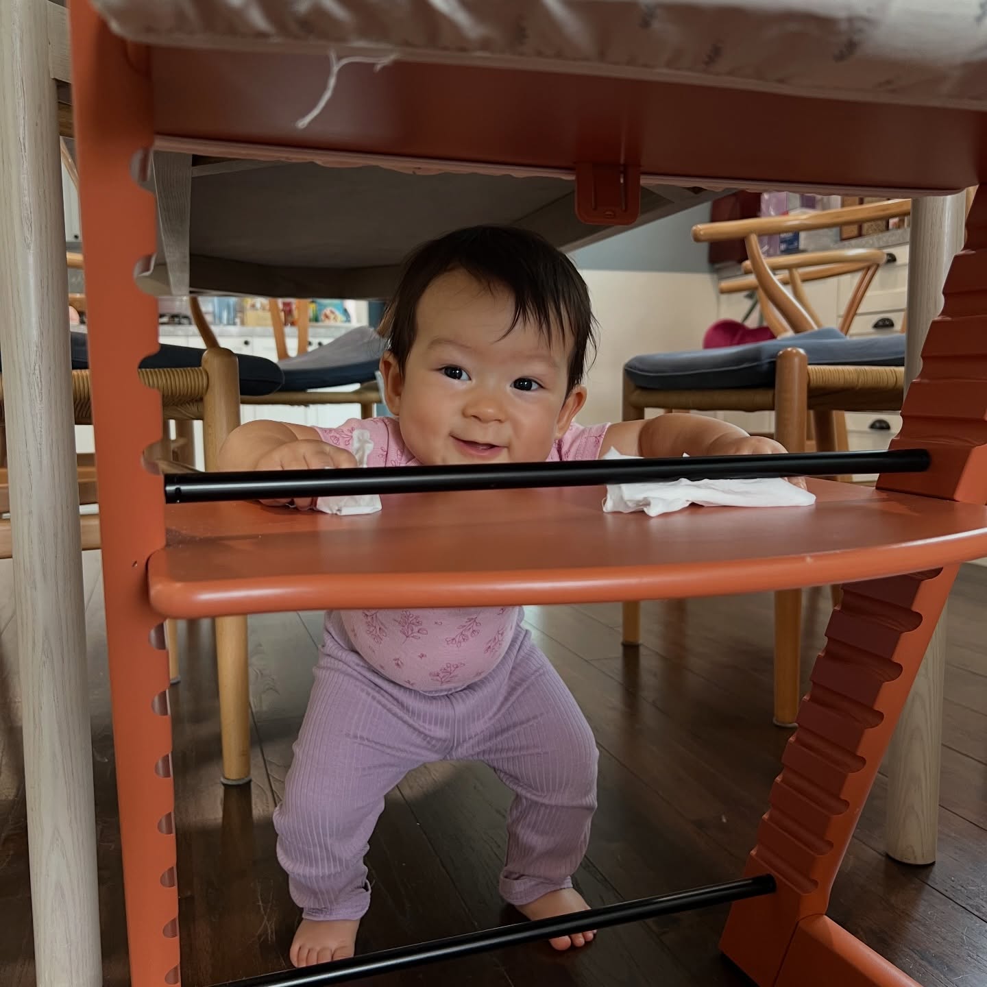 เอมี่ กลิ่นประทุม