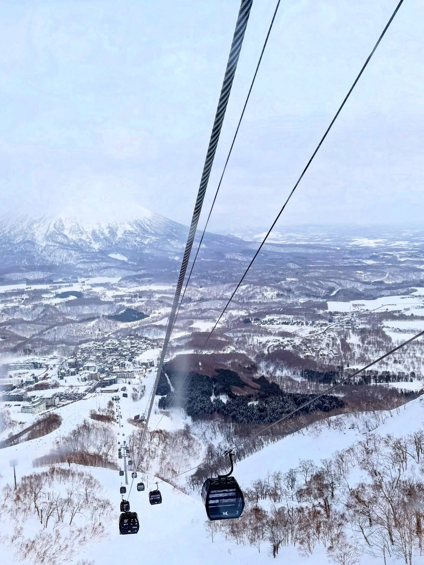 เอมี่ กลิ่นประทุม