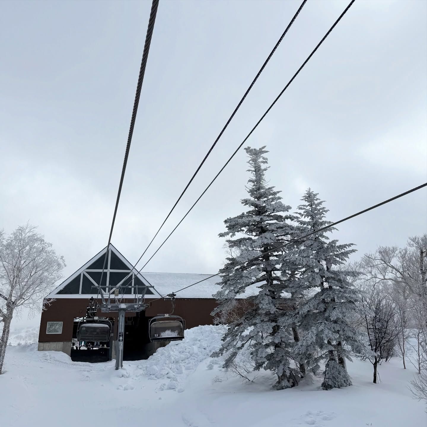 เอมี่ กลิ่นประทุม