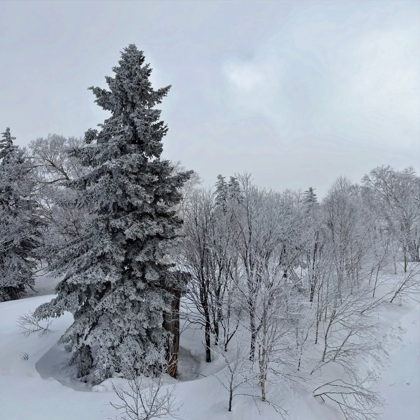 เอมี่ กลิ่นประทุม