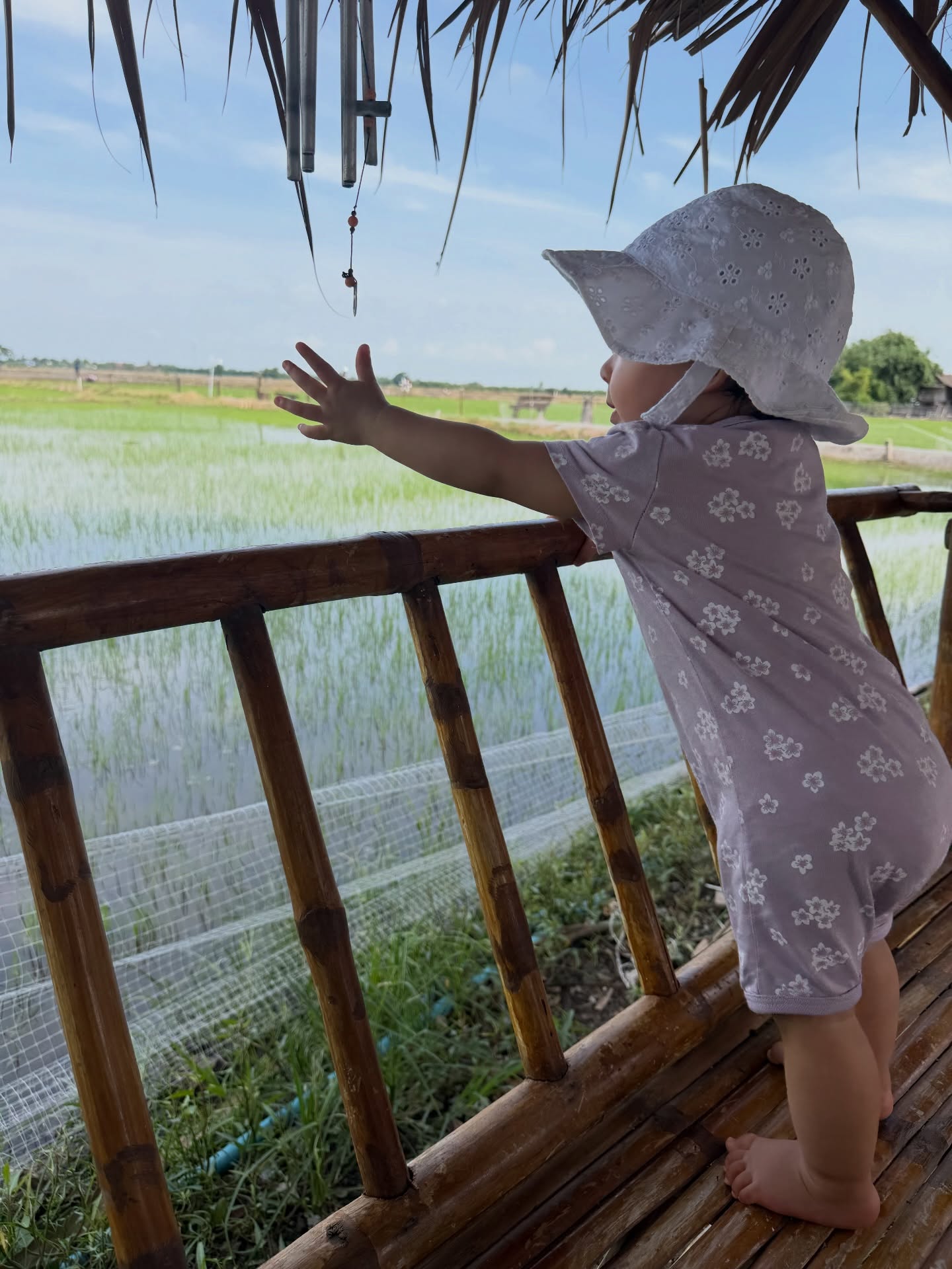 เอมี่ กลิ่นประทุม