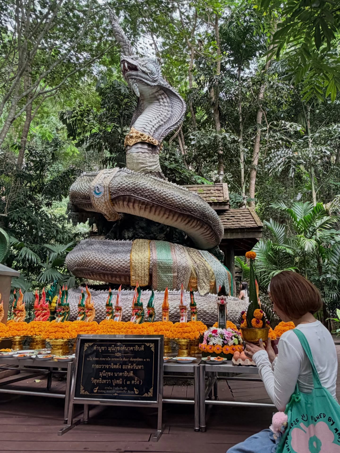 เอมี่ กลิ่นประทุม