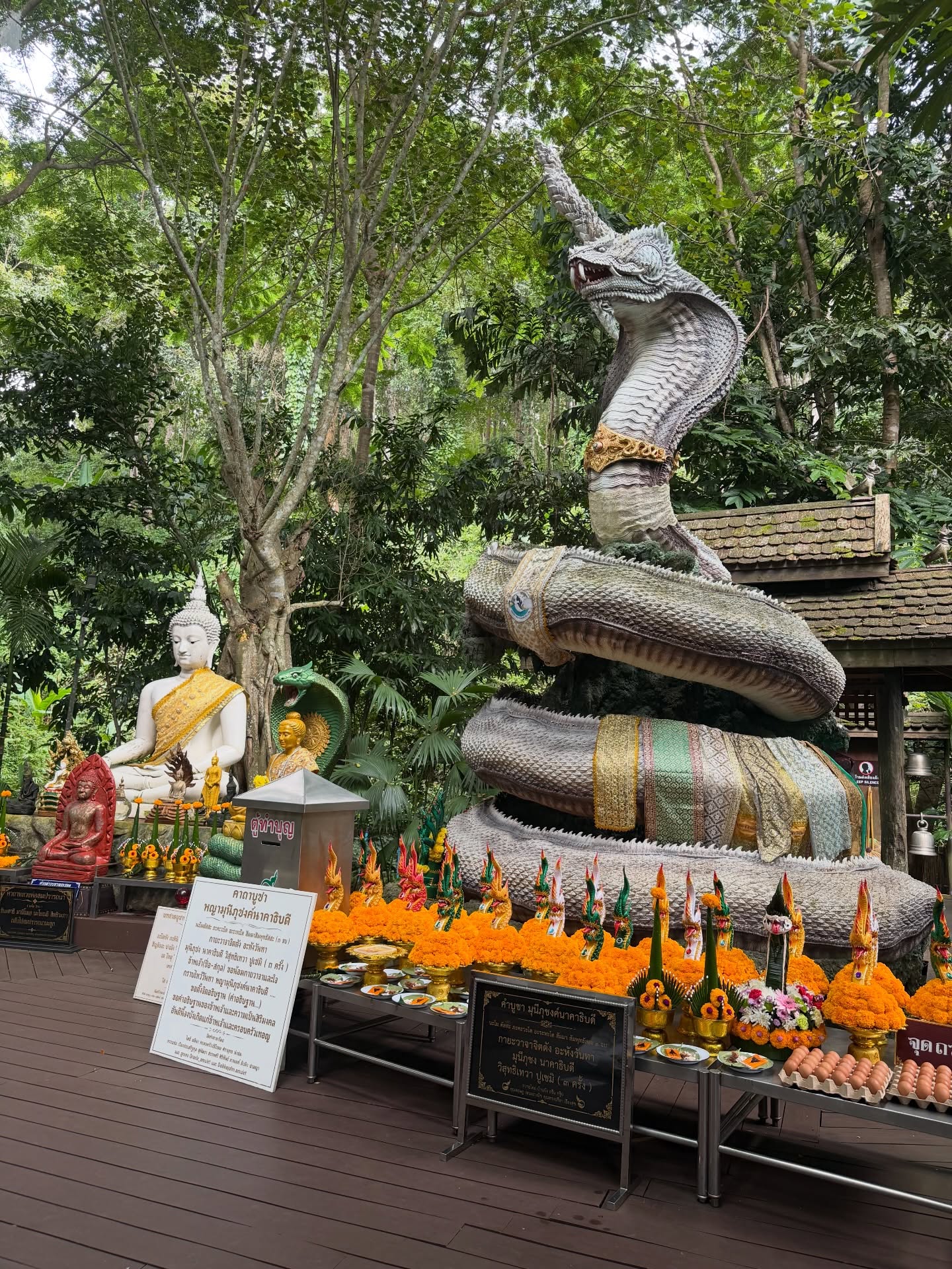 เอมี่ กลิ่นประทุม