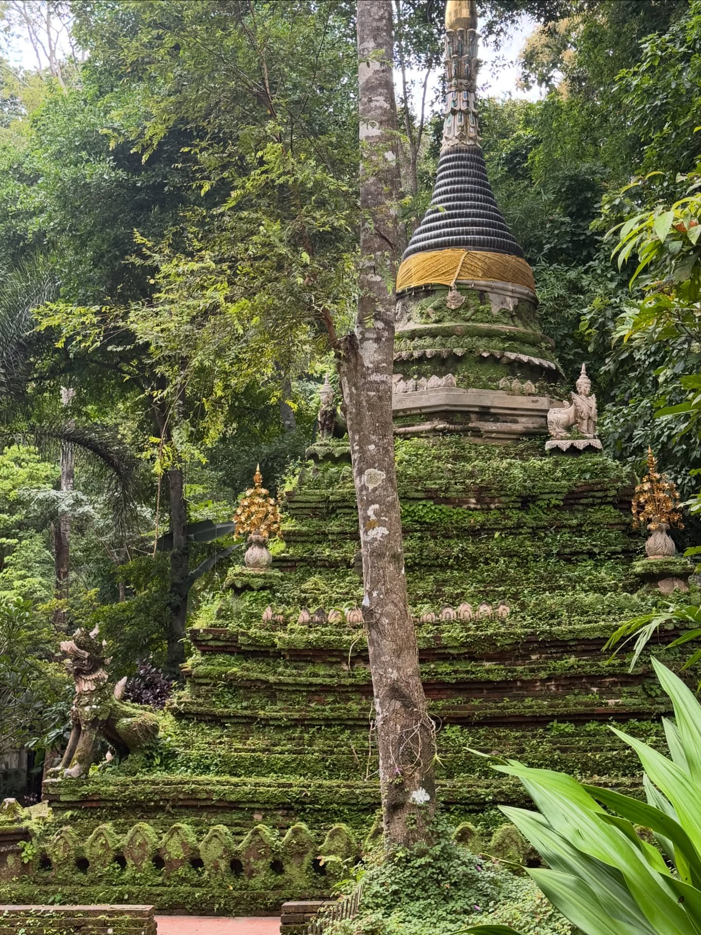 เอมี่ กลิ่นประทุม