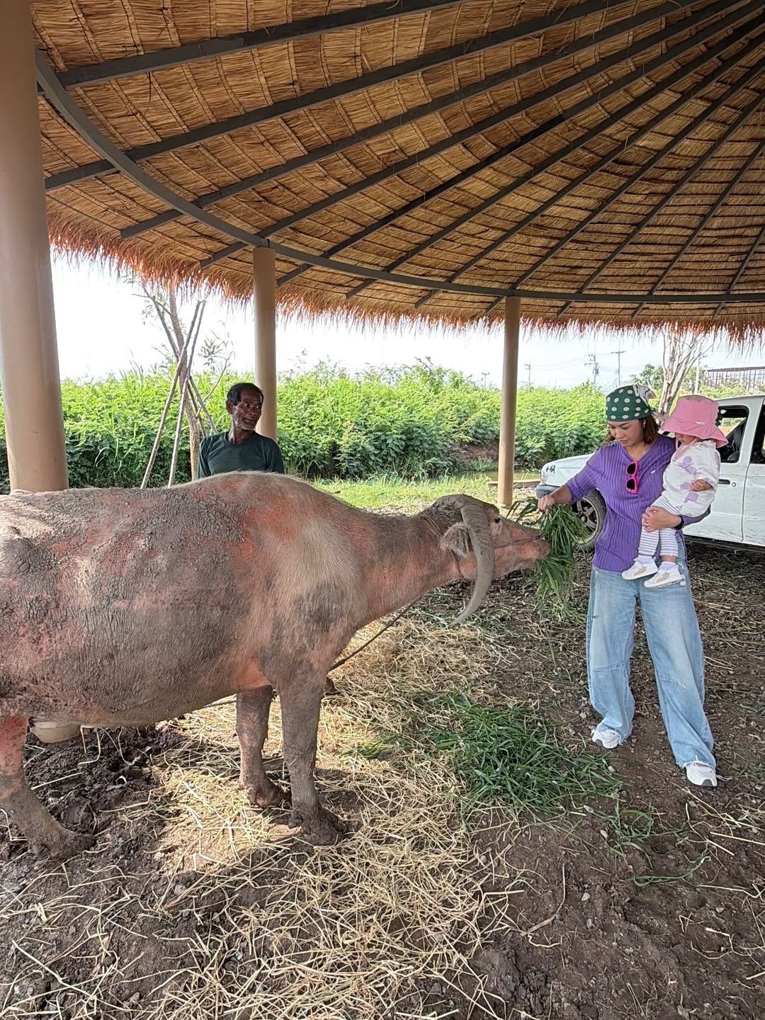 เอมี่ กลิ่นประทุม