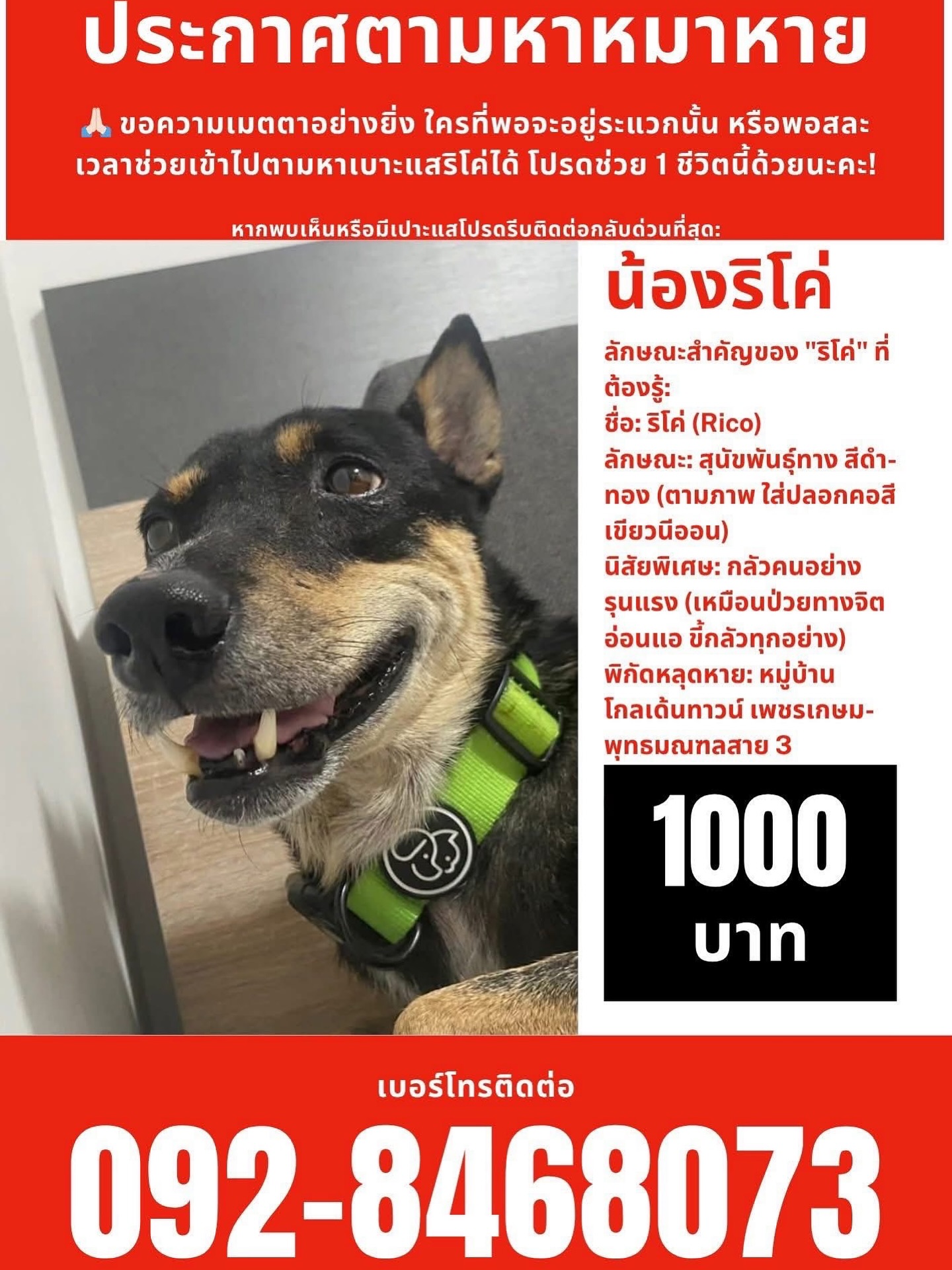 อั้ม - พัชราภา ไชยเชื้อ