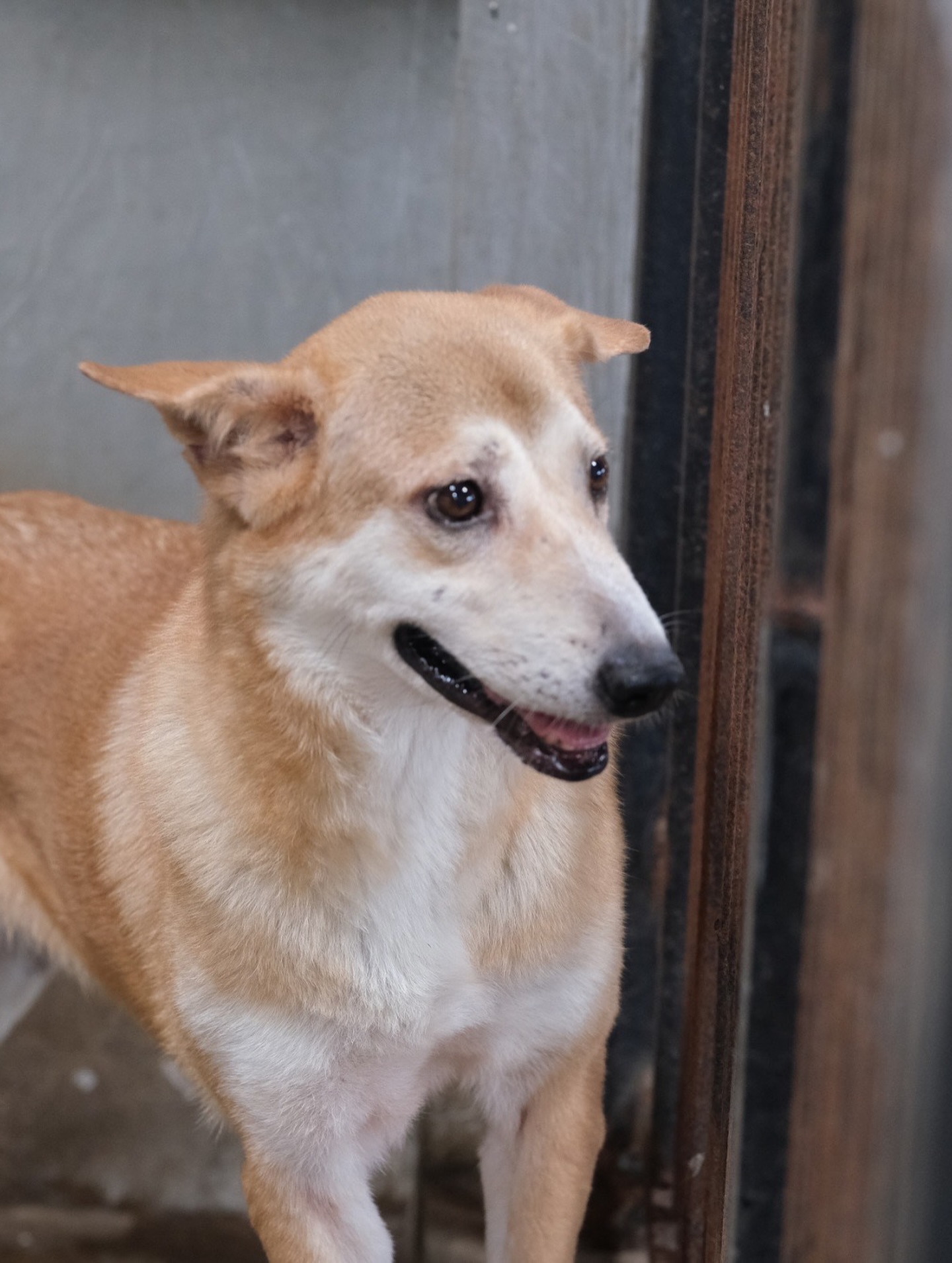 อั้ม - พัชราภา ไชยเชื้อ