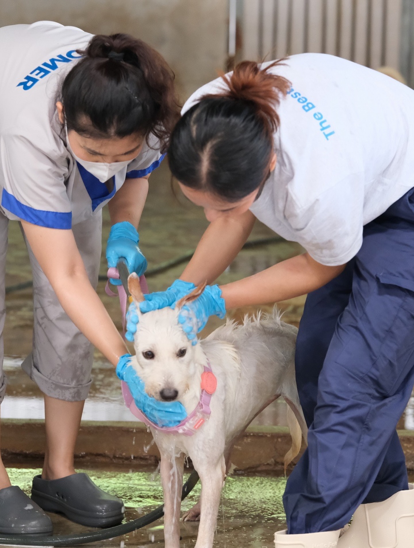 อั้ม - พัชราภา ไชยเชื้อ