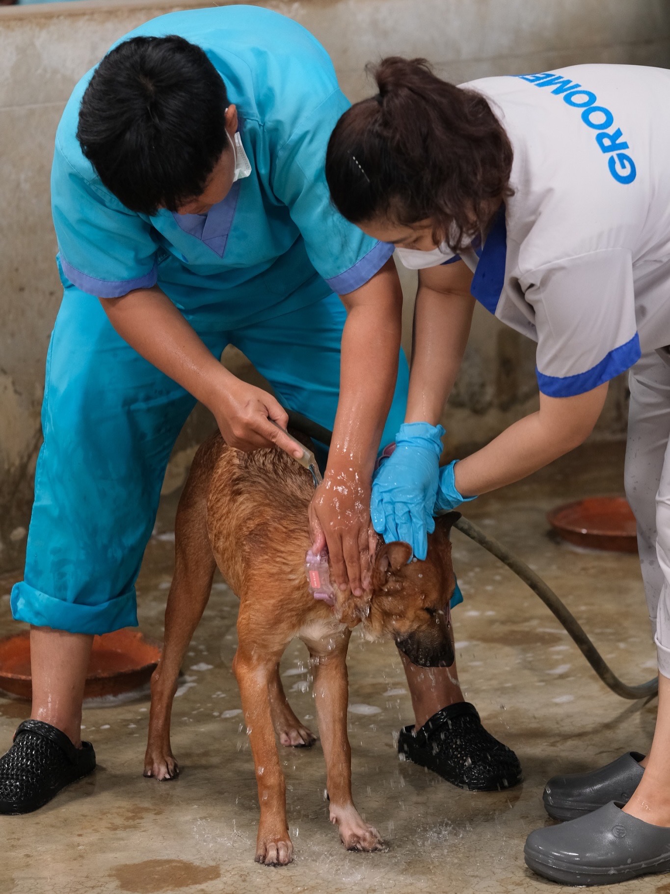 อั้ม - พัชราภา ไชยเชื้อ