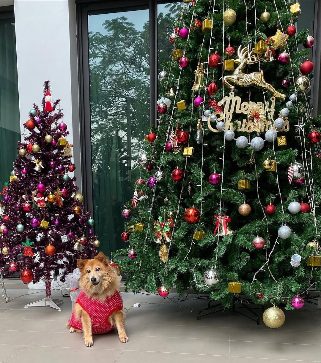 อั้ม - พัชราภา ไชยเชื้อ