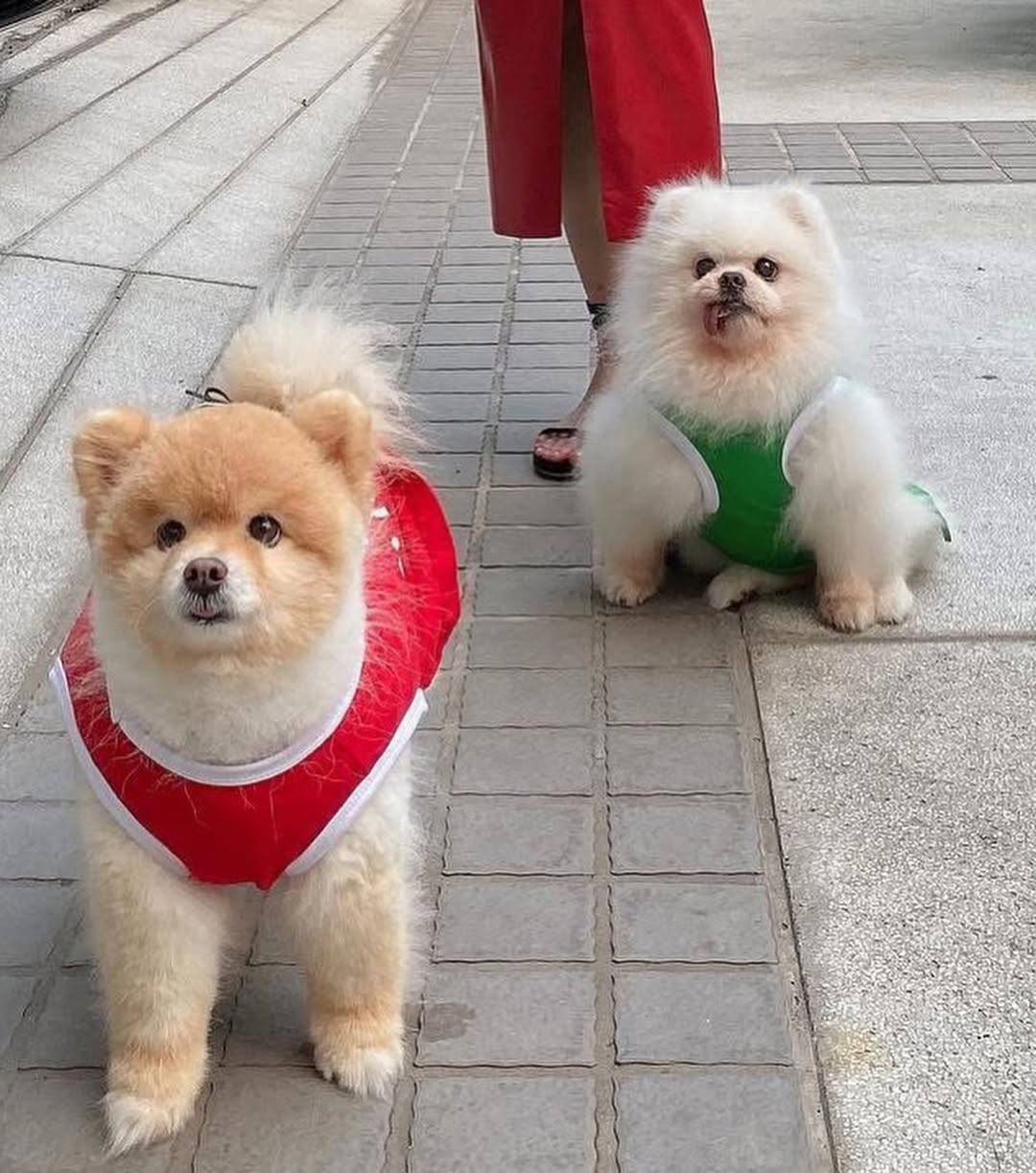 อั้ม - พัชราภา ไชยเชื้อ