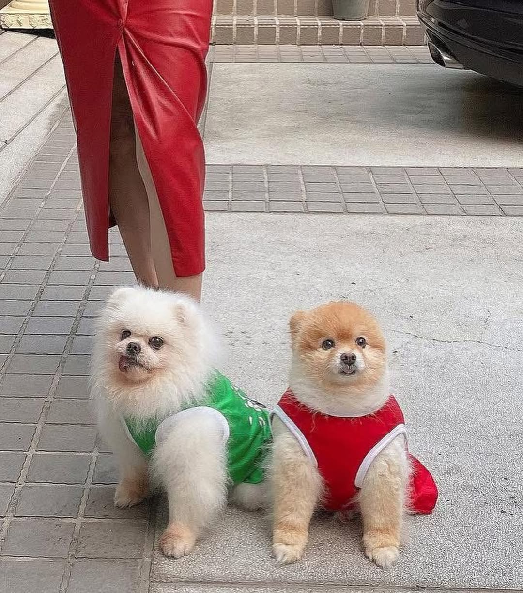 อั้ม - พัชราภา ไชยเชื้อ