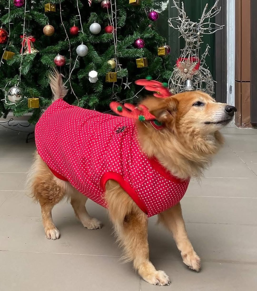 อั้ม - พัชราภา ไชยเชื้อ