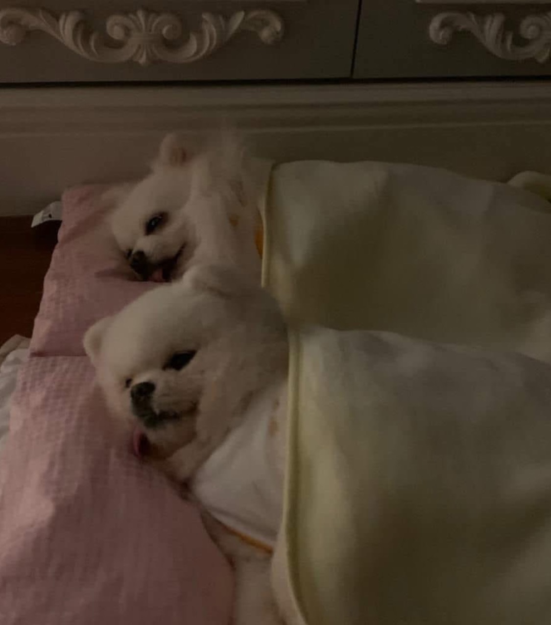 อั้ม - พัชราภา ไชยเชื้อ