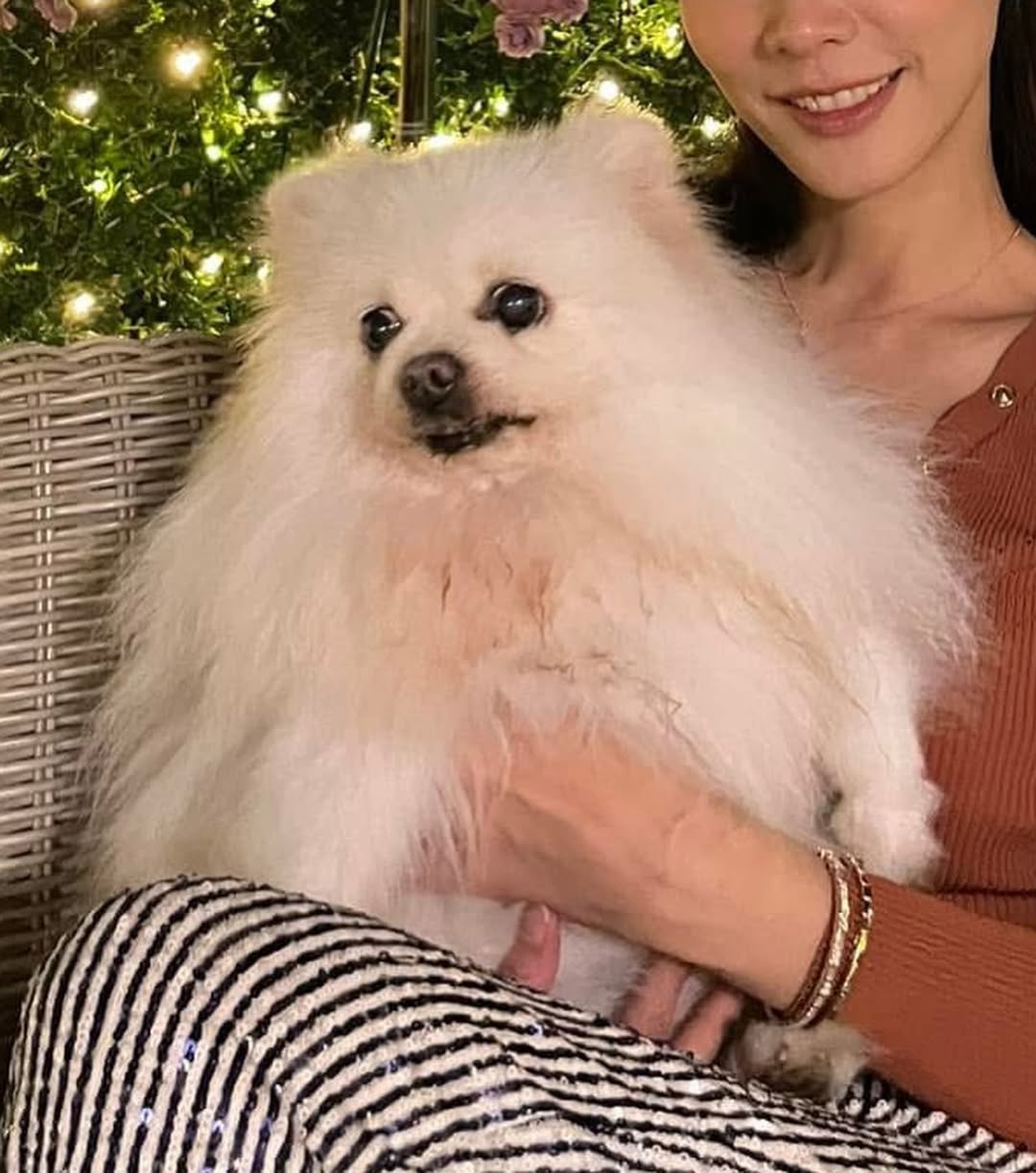 อั้ม - พัชราภา ไชยเชื้อ