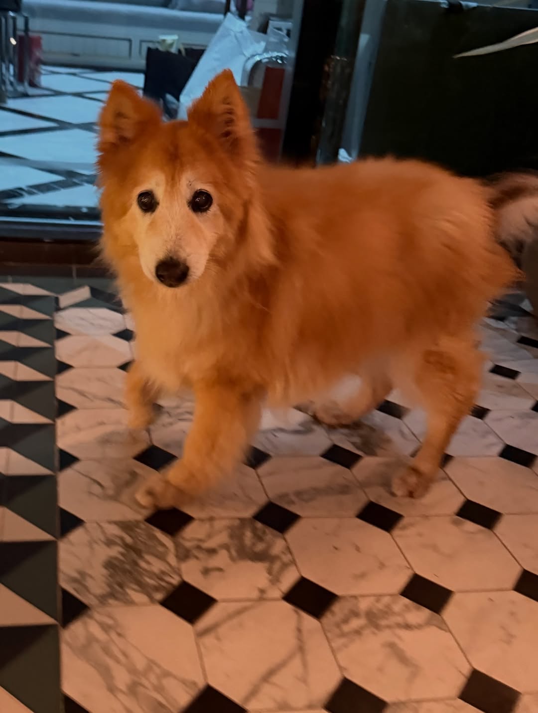 อั้ม - พัชราภา ไชยเชื้อ