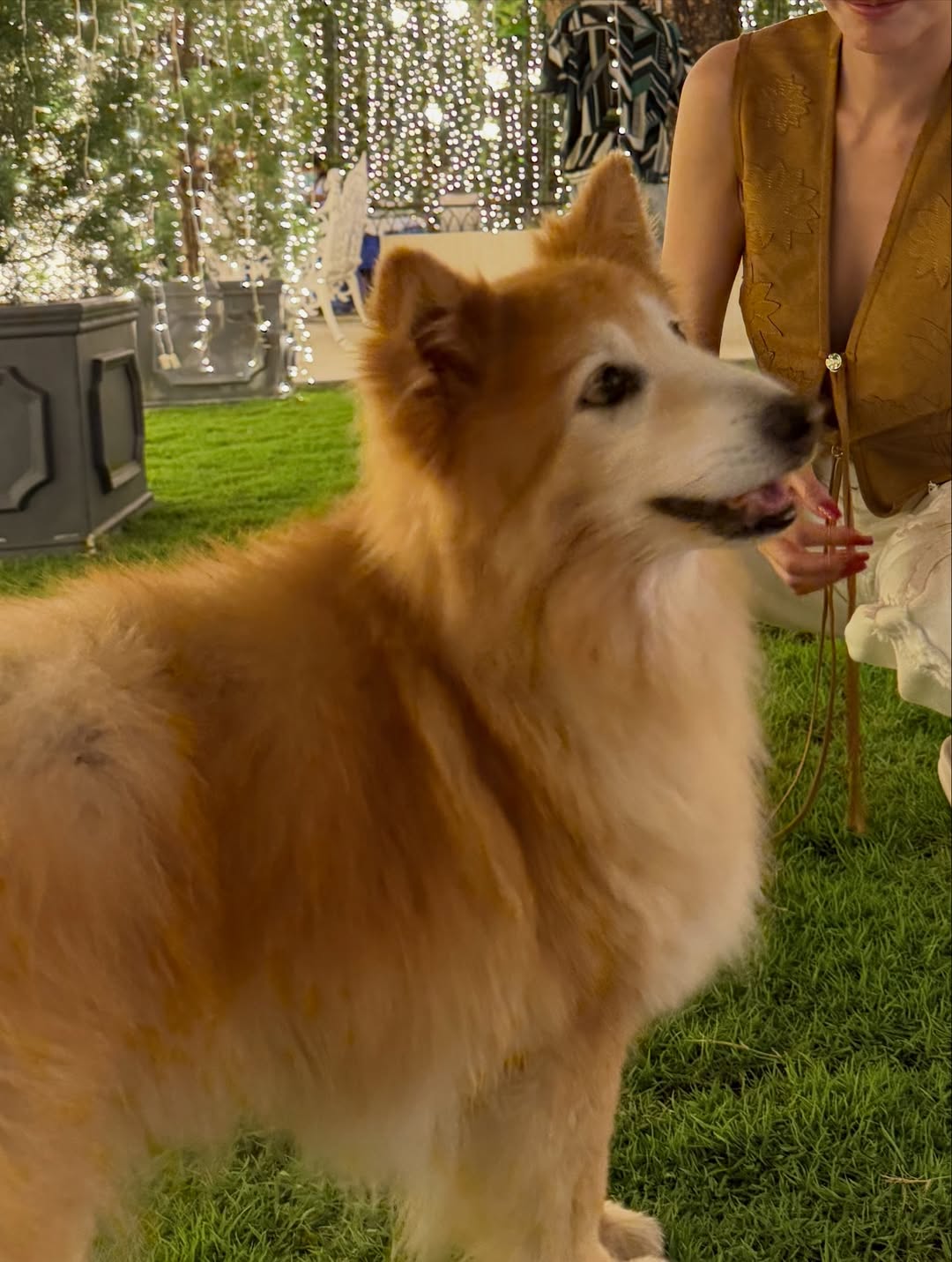 อั้ม - พัชราภา ไชยเชื้อ