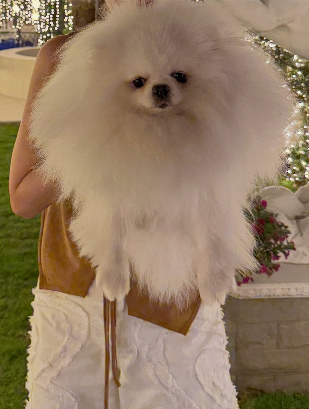 อั้ม - พัชราภา ไชยเชื้อ